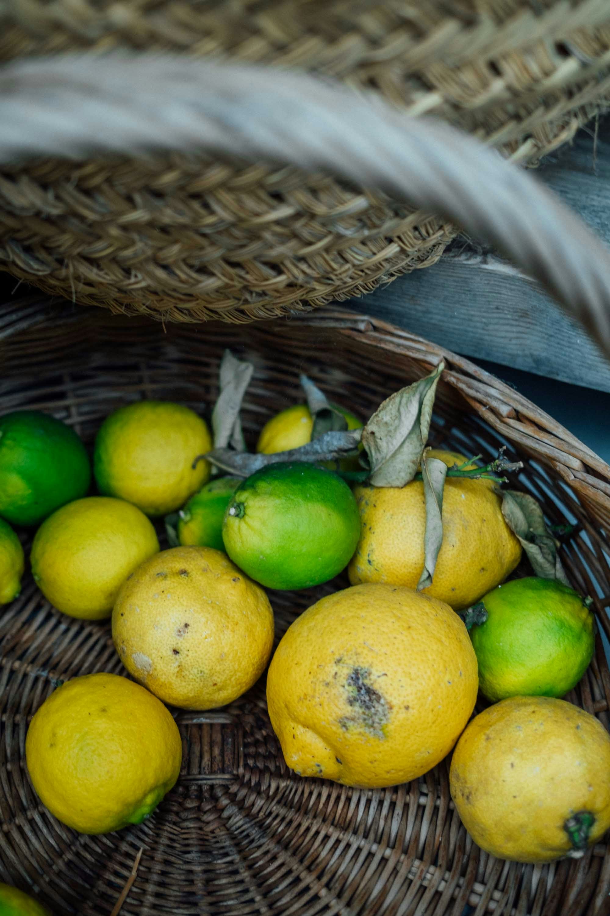 Photo by filipp_roman_photography