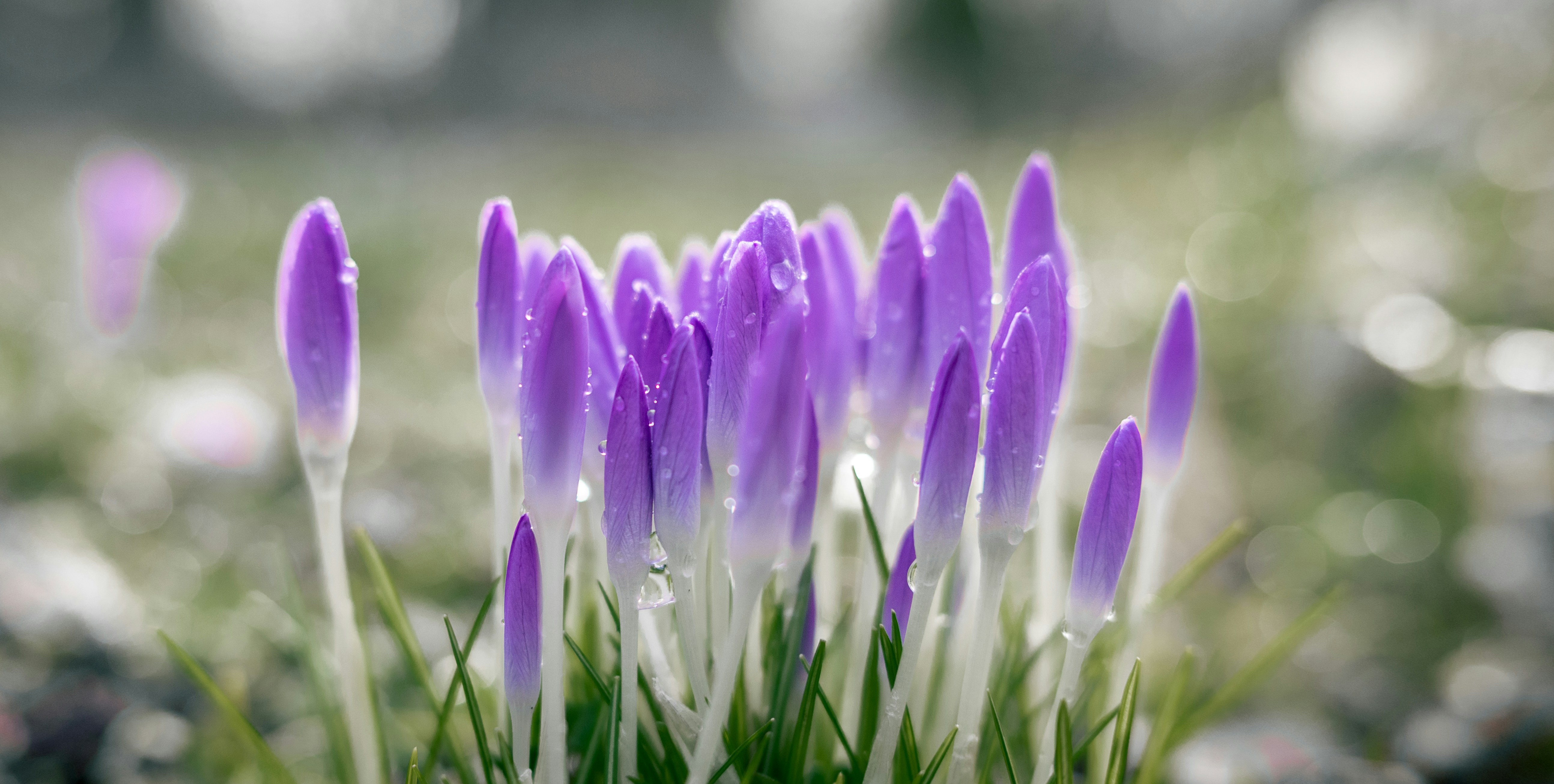 Photo by jetztabertempo