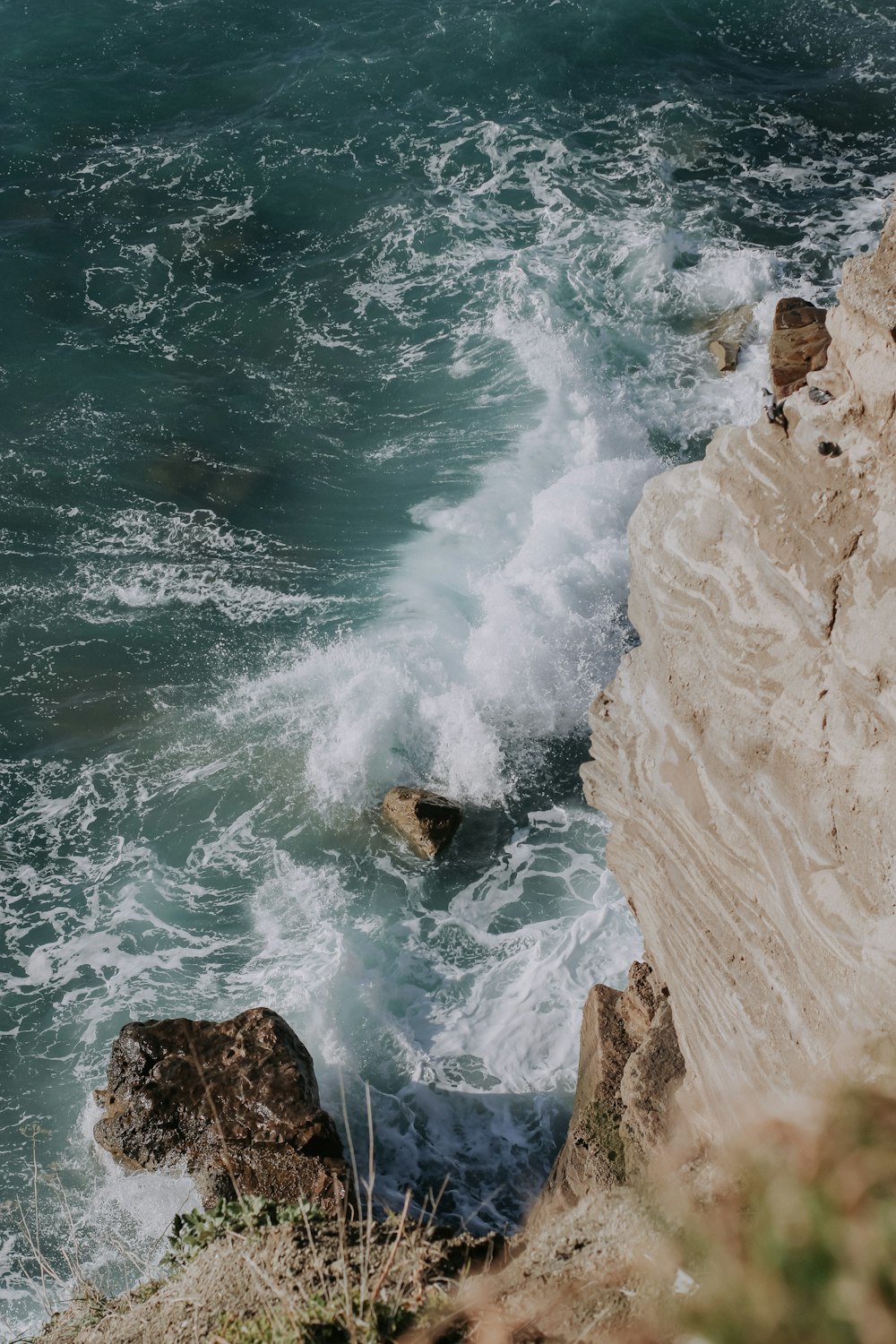 a bird sitting on a rock near the ocean