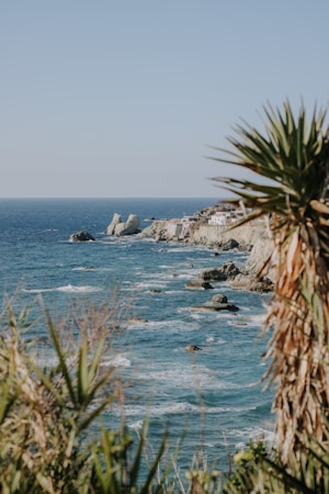 A coastal landscape with clear blue ocean water crashing against rocky cliffs in the foreground and background. Palm trees add a tropical feel while white buildings are perched along the cliffs, suggesting a seaside town.