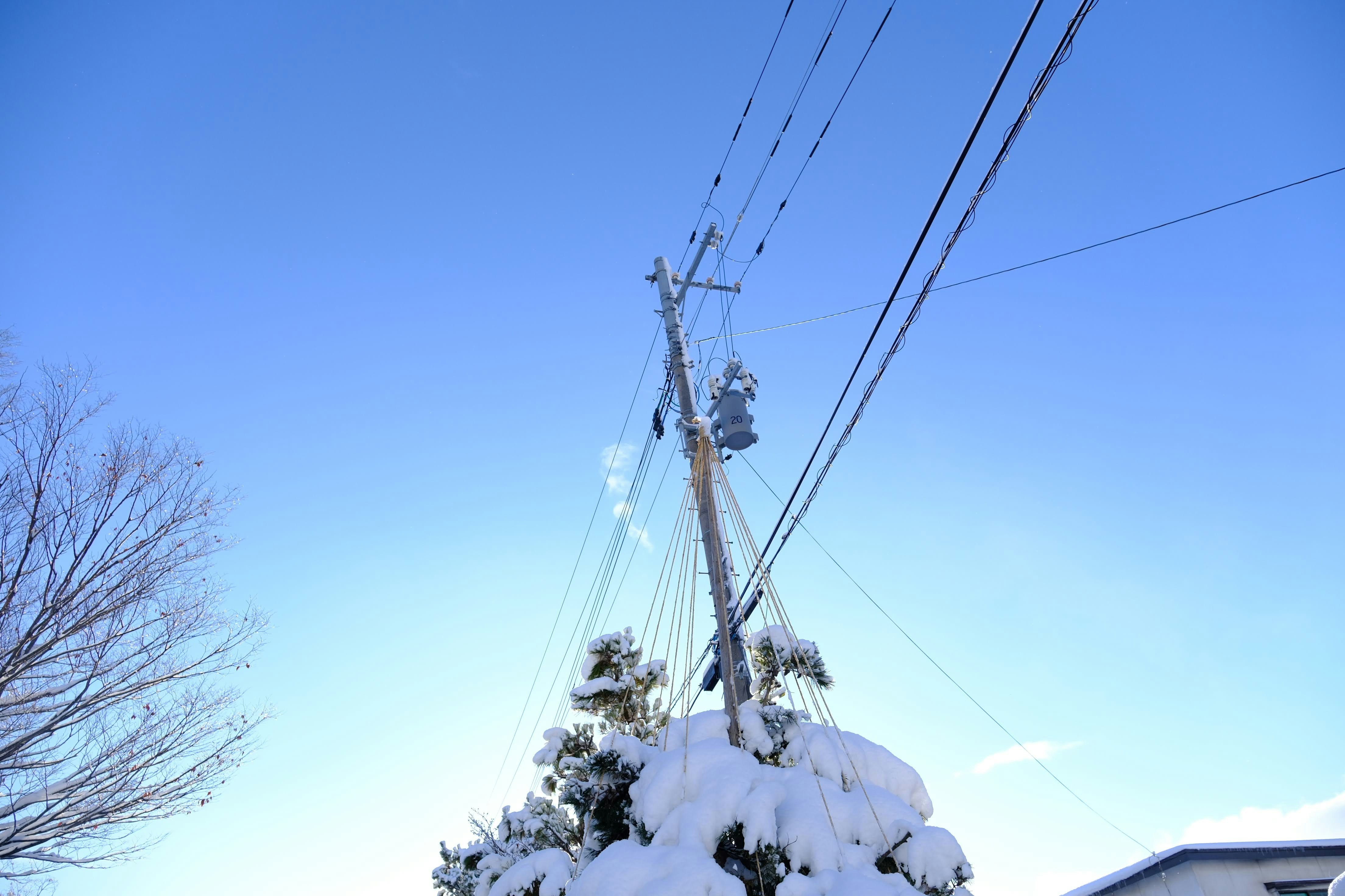 Photo by seiya_maeda