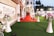 A beautifully decorated outdoor banquet hall with a red carpet leading to an ornate entryway. The area is adorned with floral arrangements set atop tall, white vases. There are tables and people in the background under soft lighting, and the setting suggests a celebration or event.