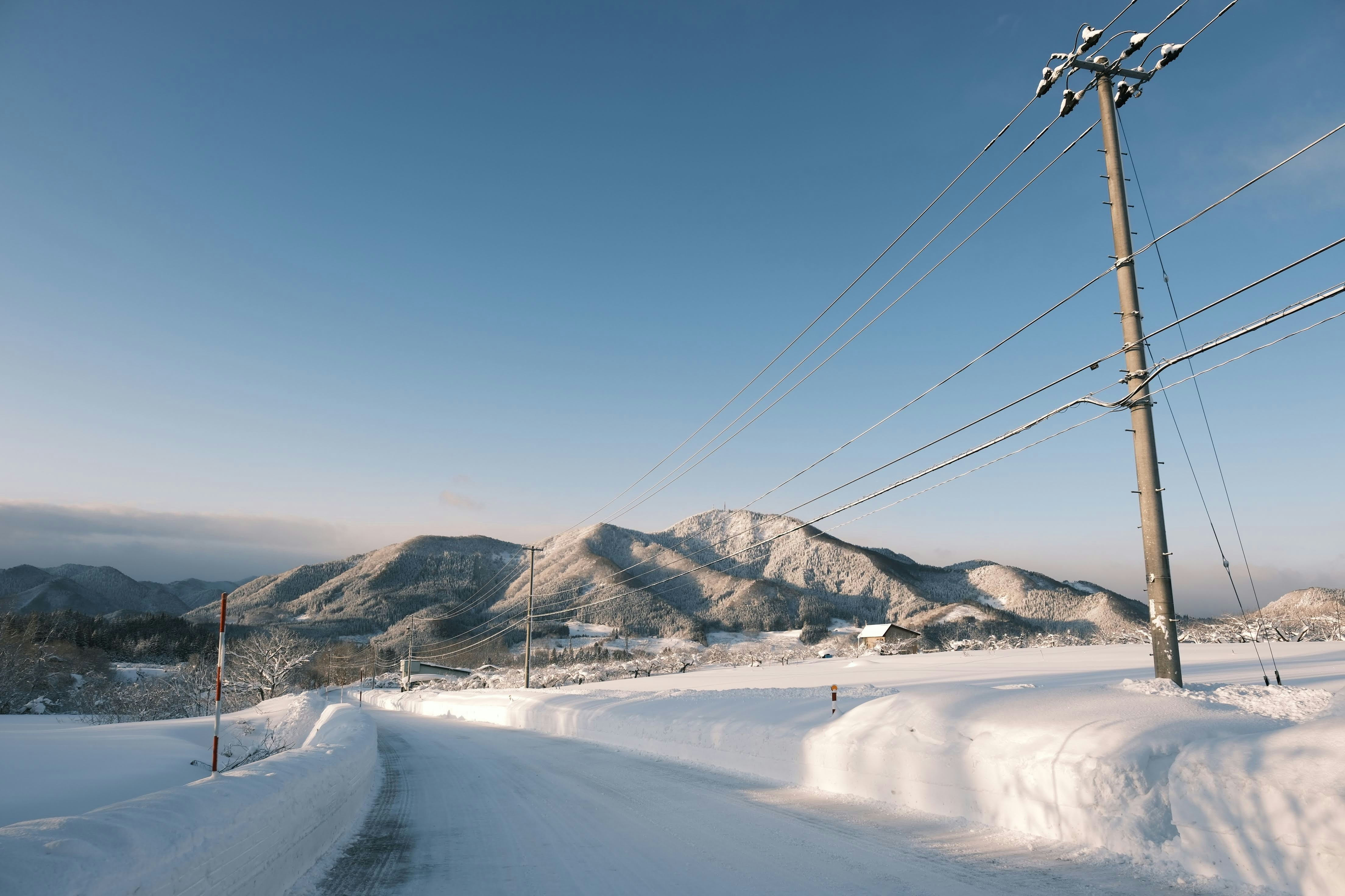 Photo by seiya_maeda