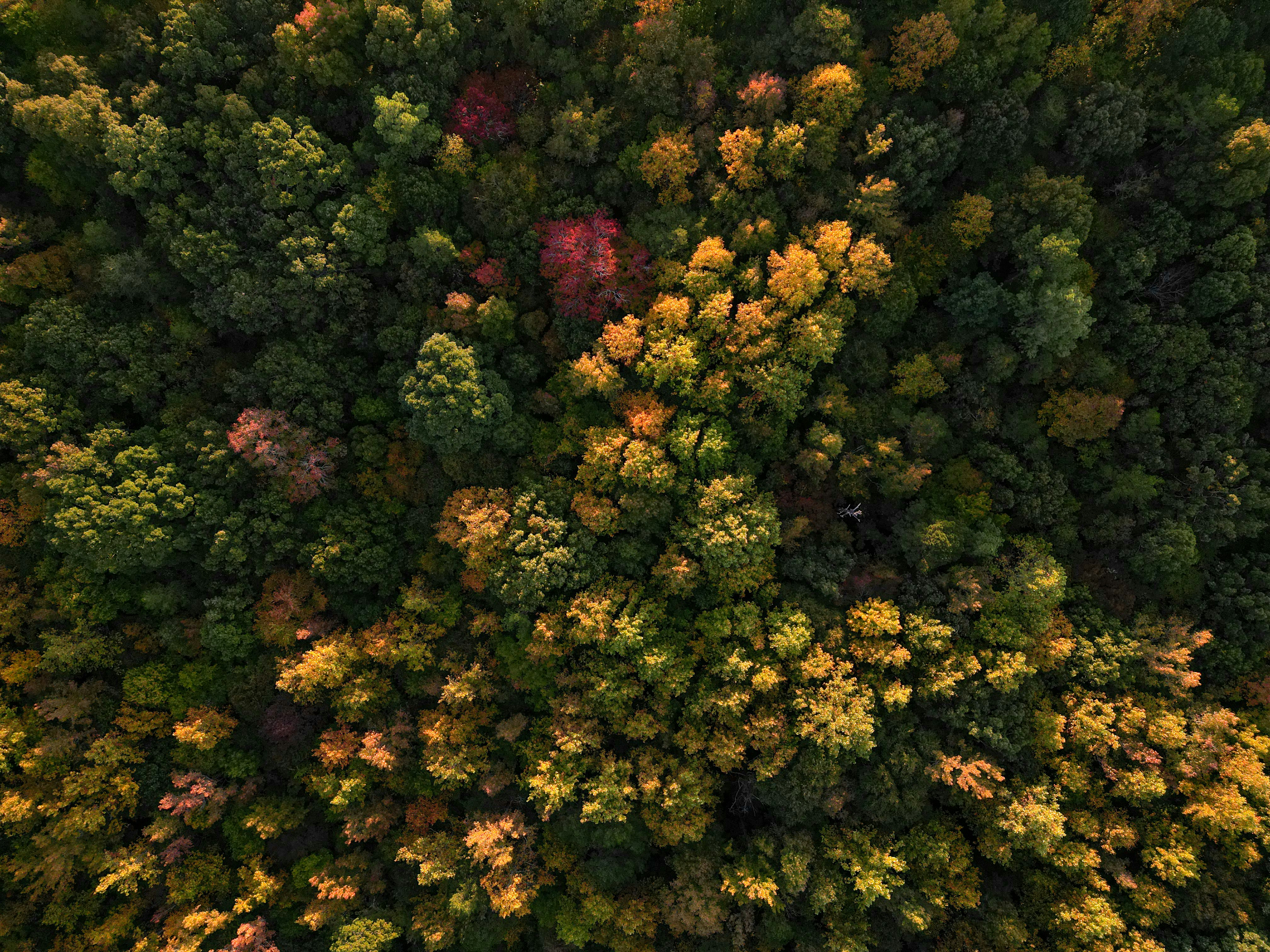 Photo by thefulnessthereof