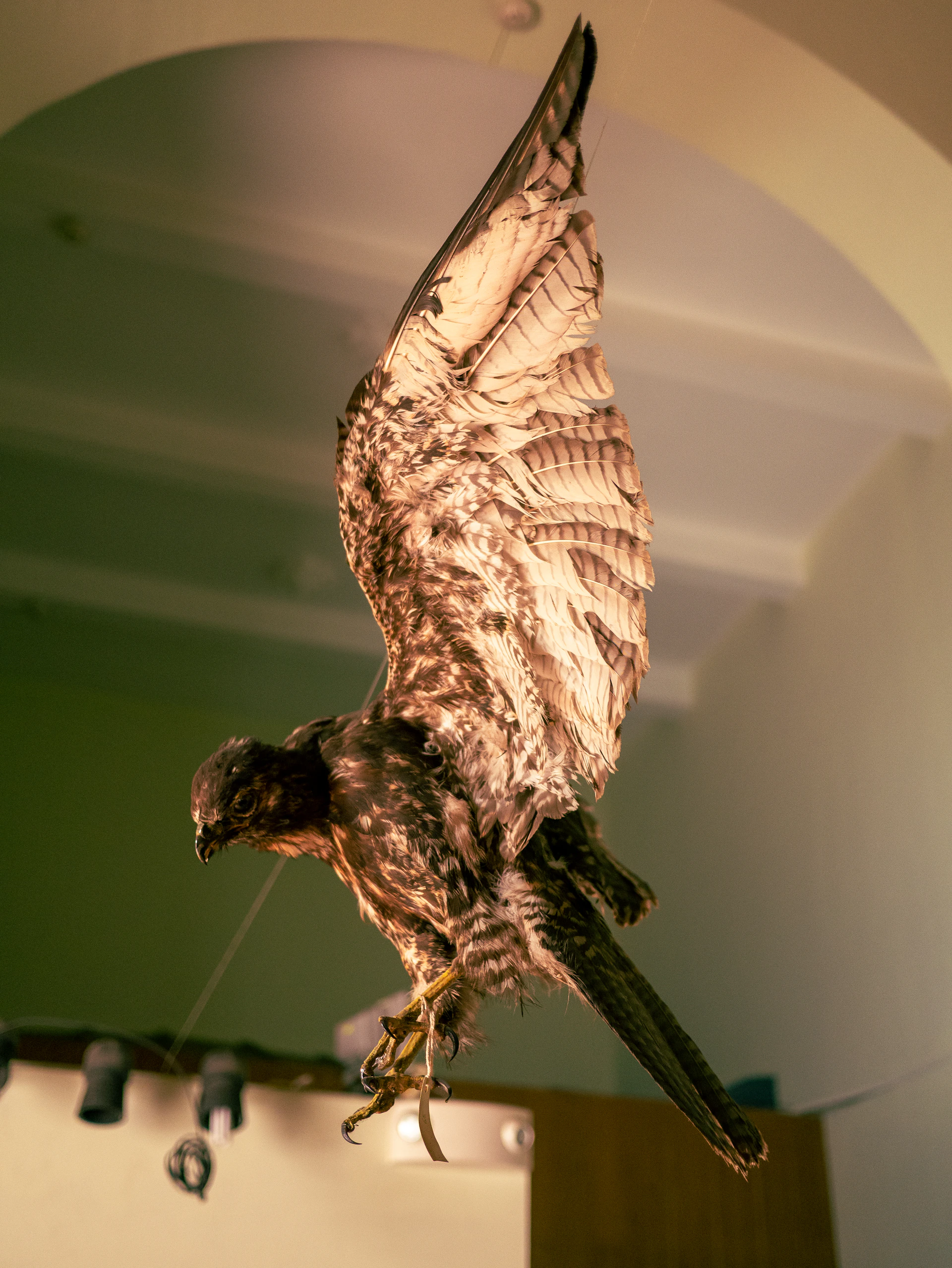 woman wearing yellow long-sleeved dress under white clouds and blue sky during daytime
