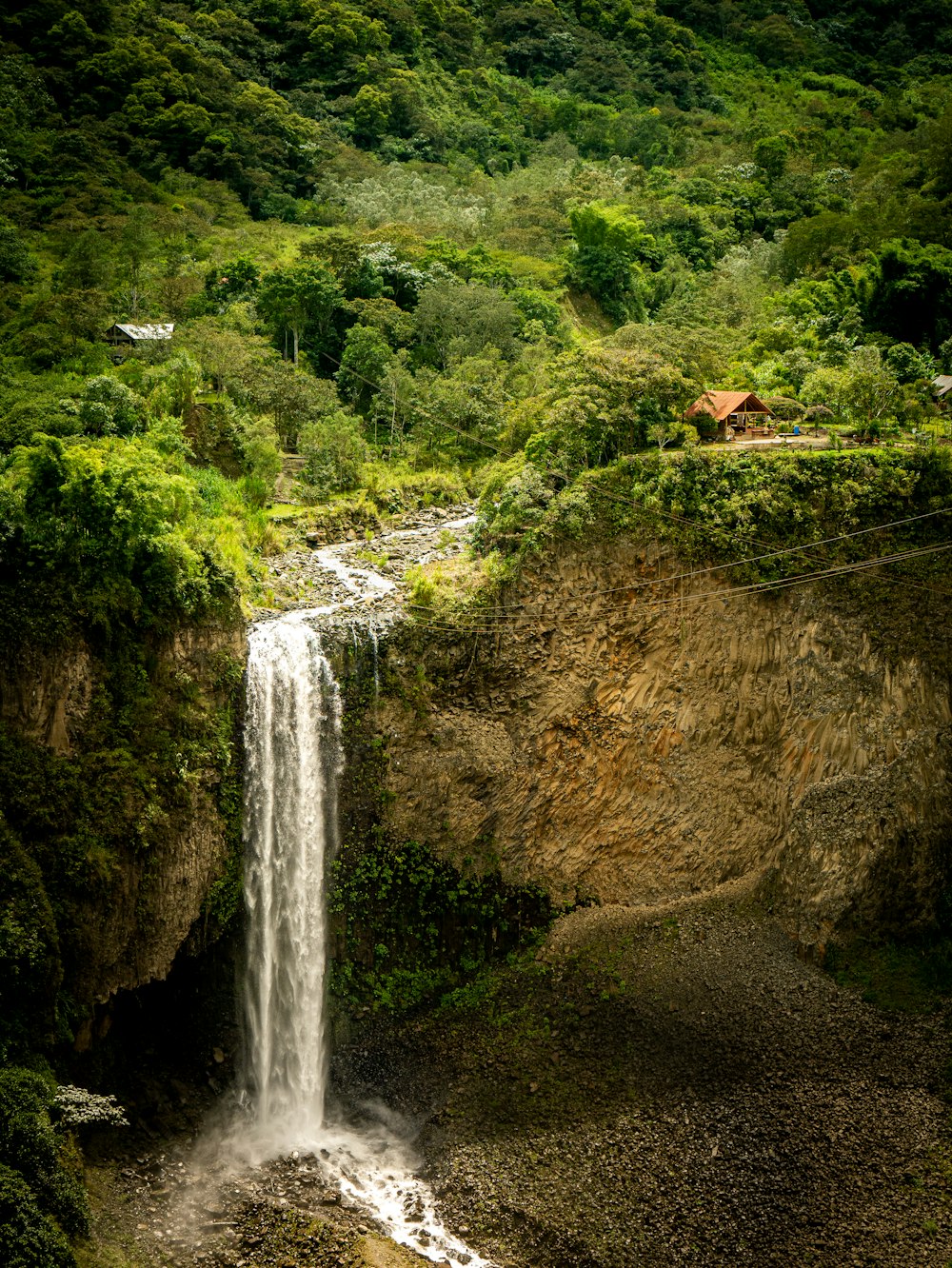 a small waterfall in the middle of a lush green forest