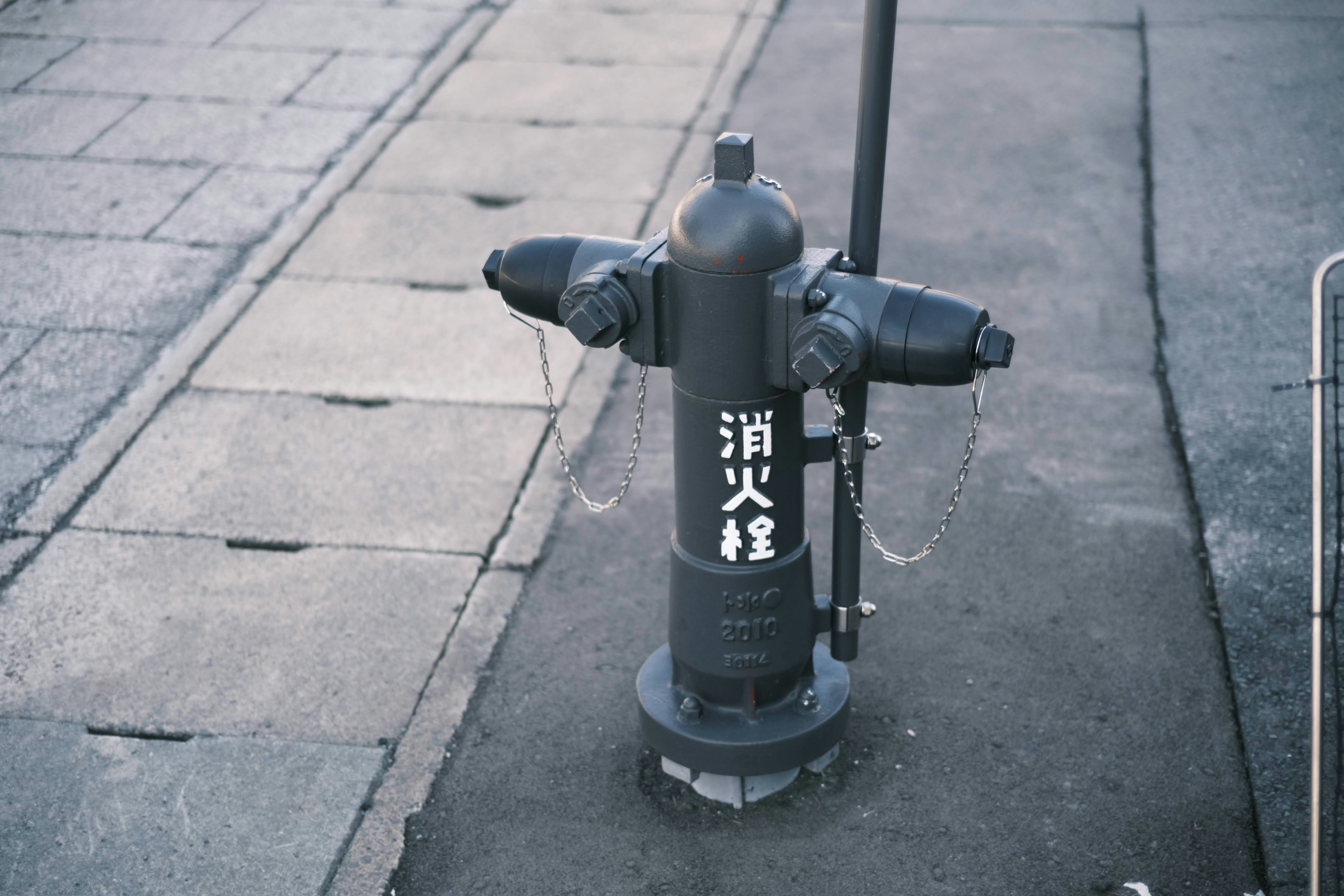 Photo by seiya_maeda