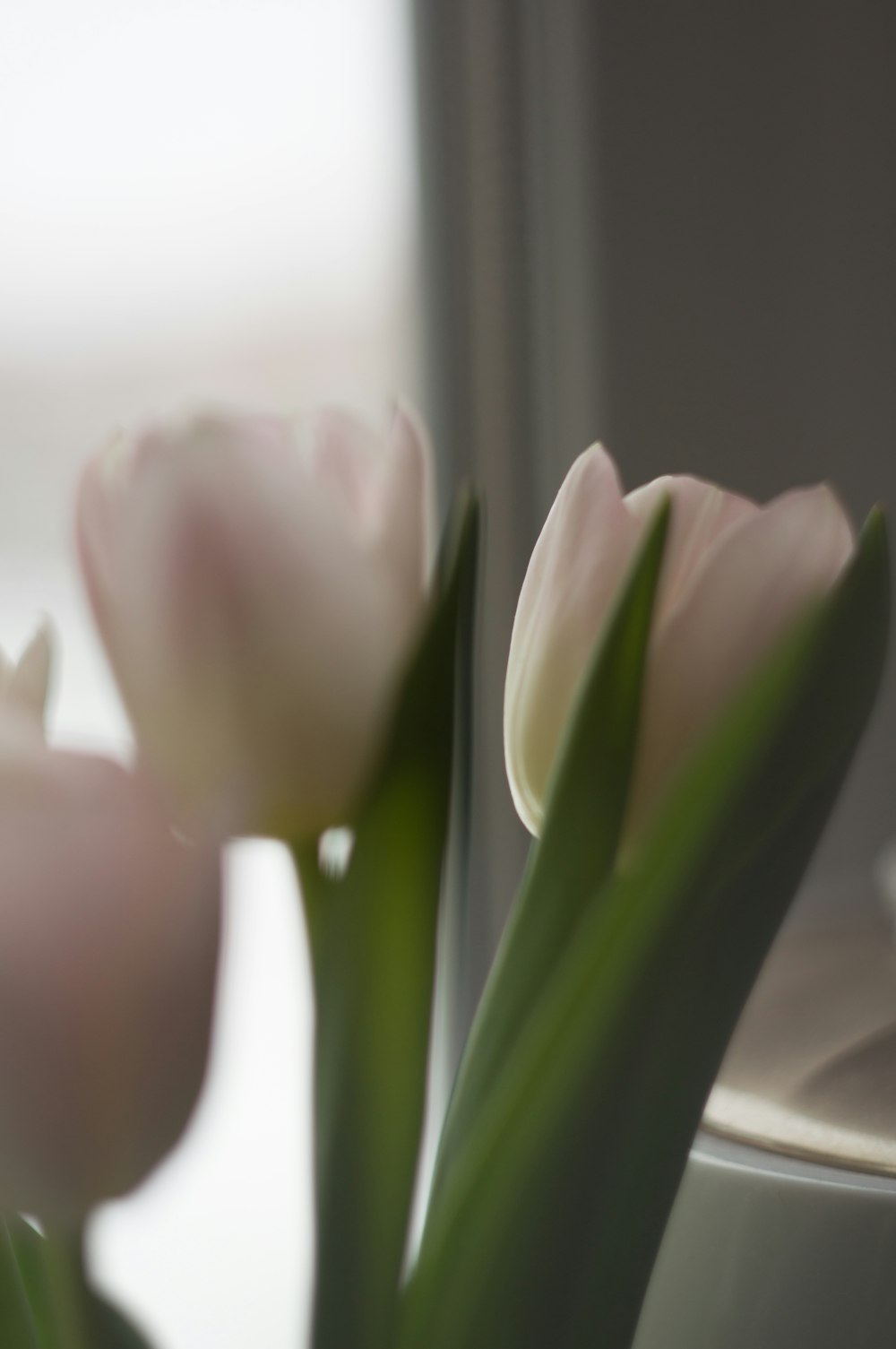 a close up of a vase with flowers in it