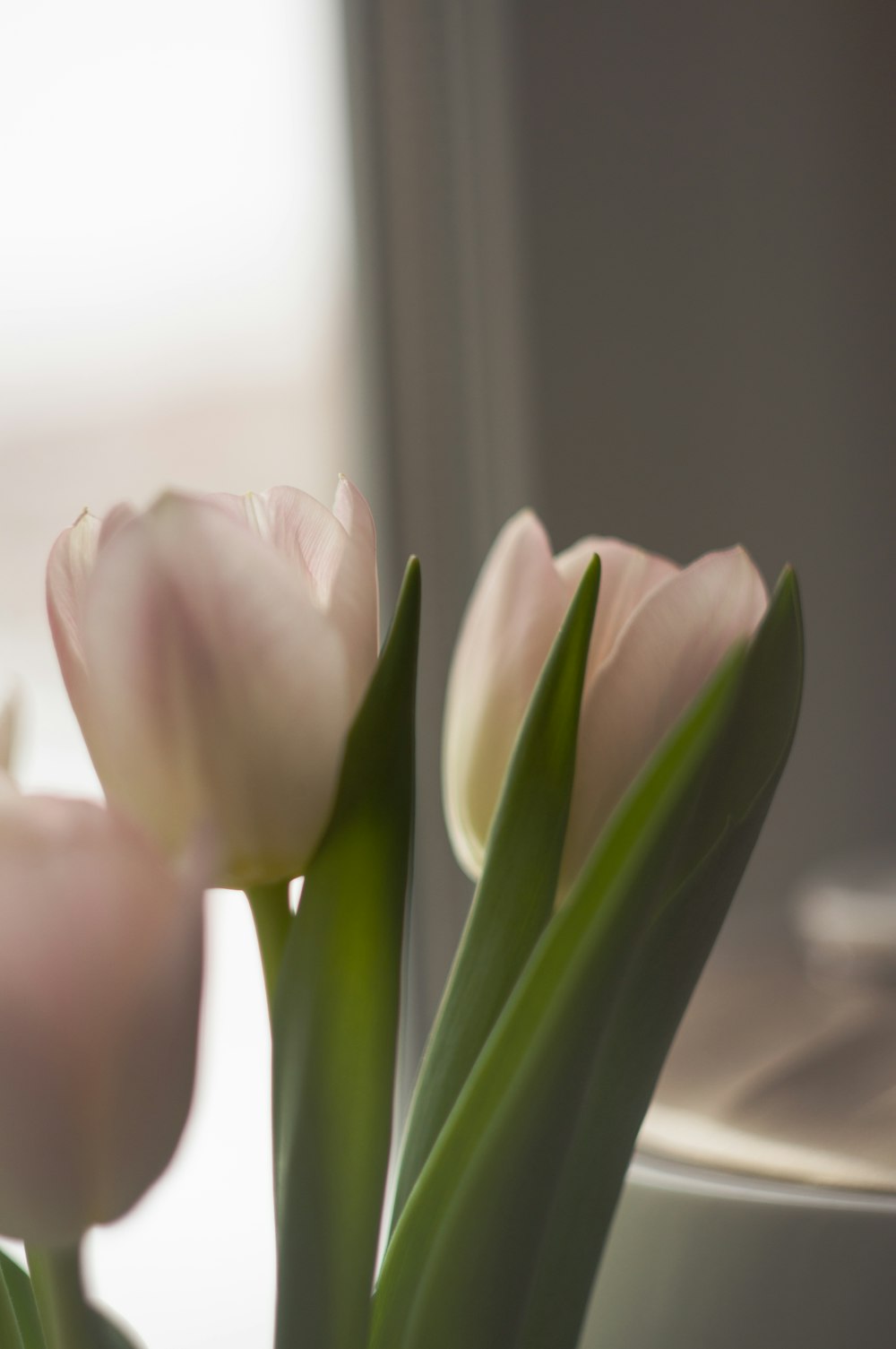 a close up of a vase with flowers in it