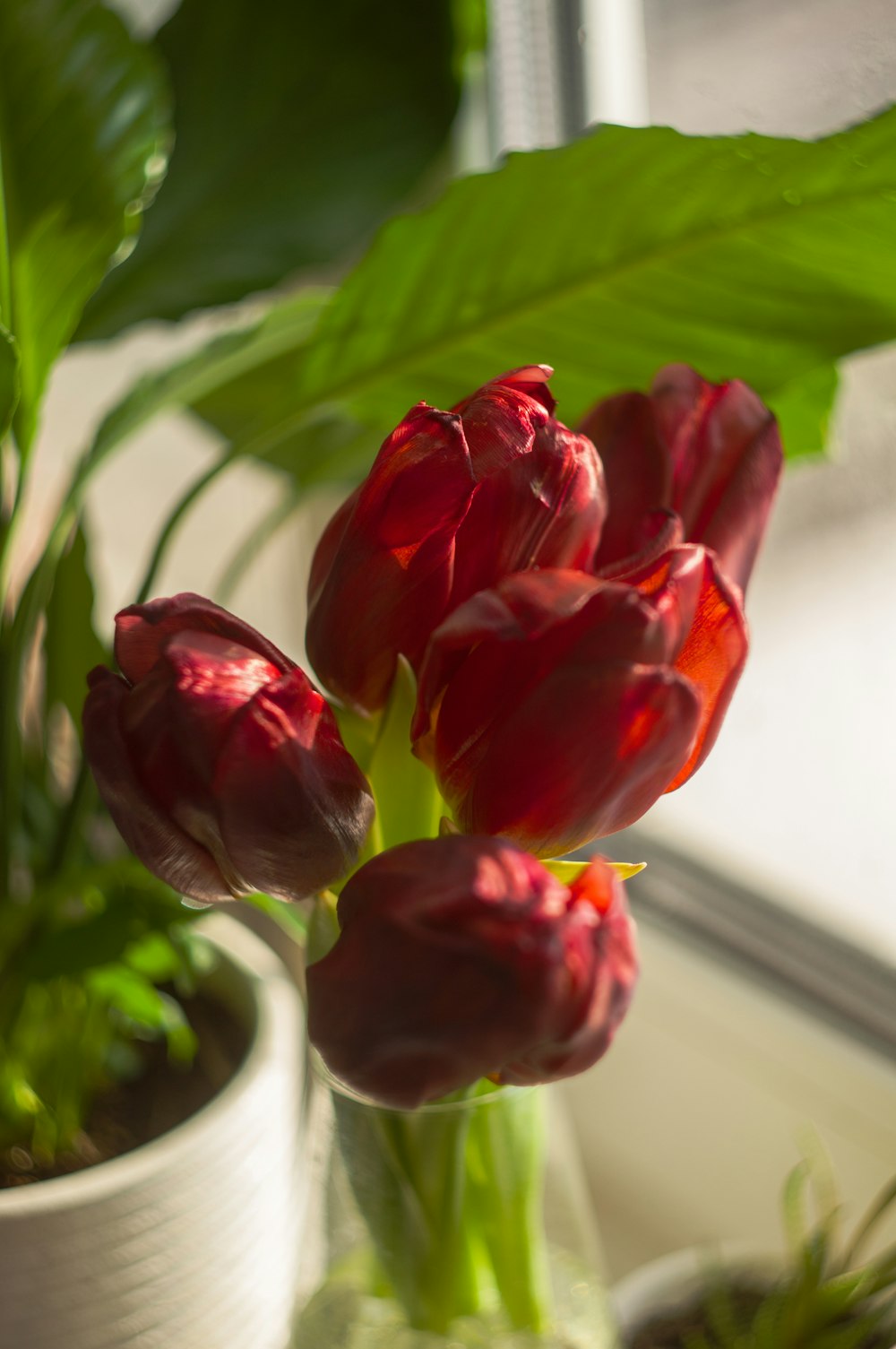 a close up of a vase with flowers in it