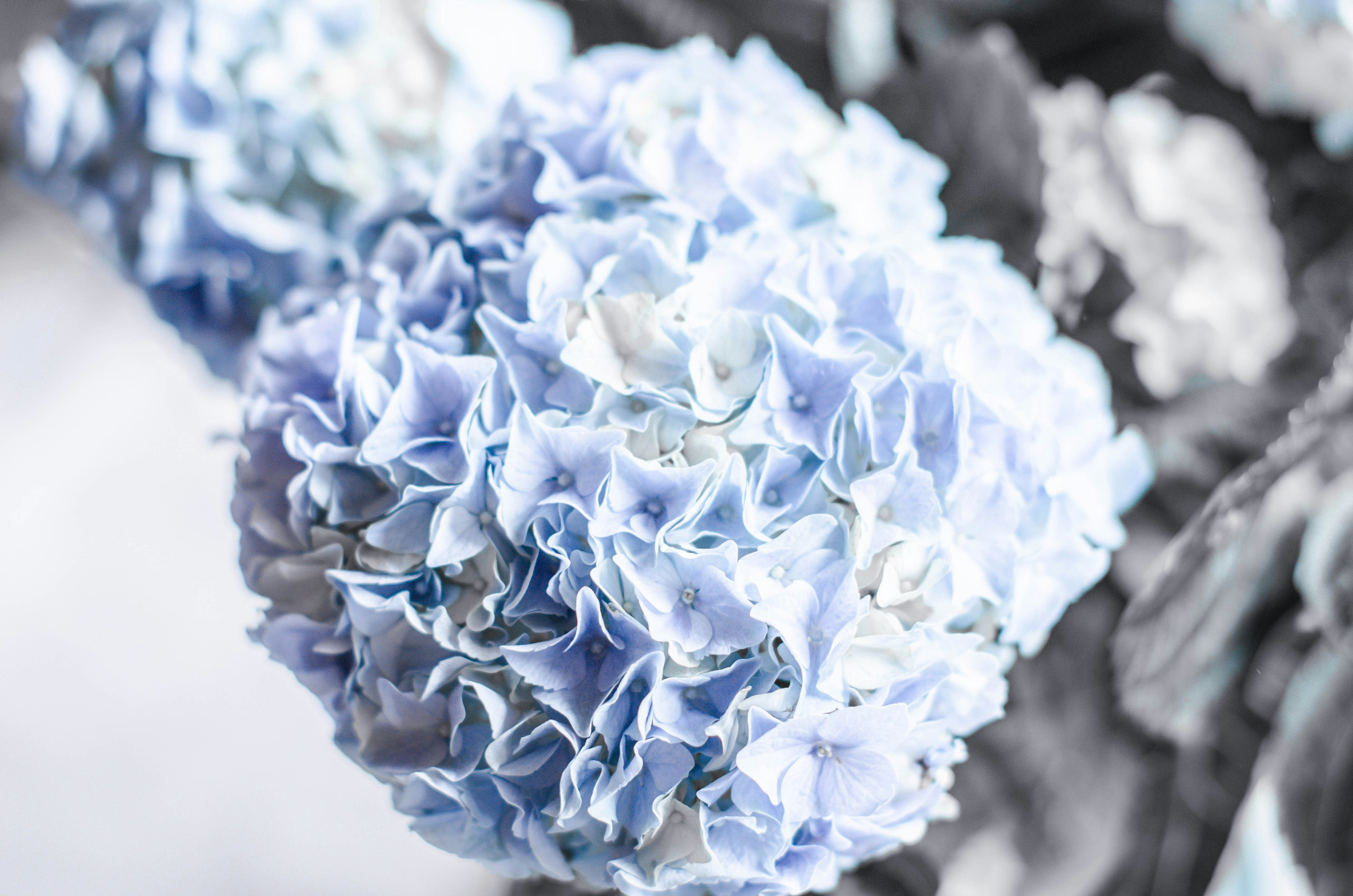 Photo by nika_benedictova