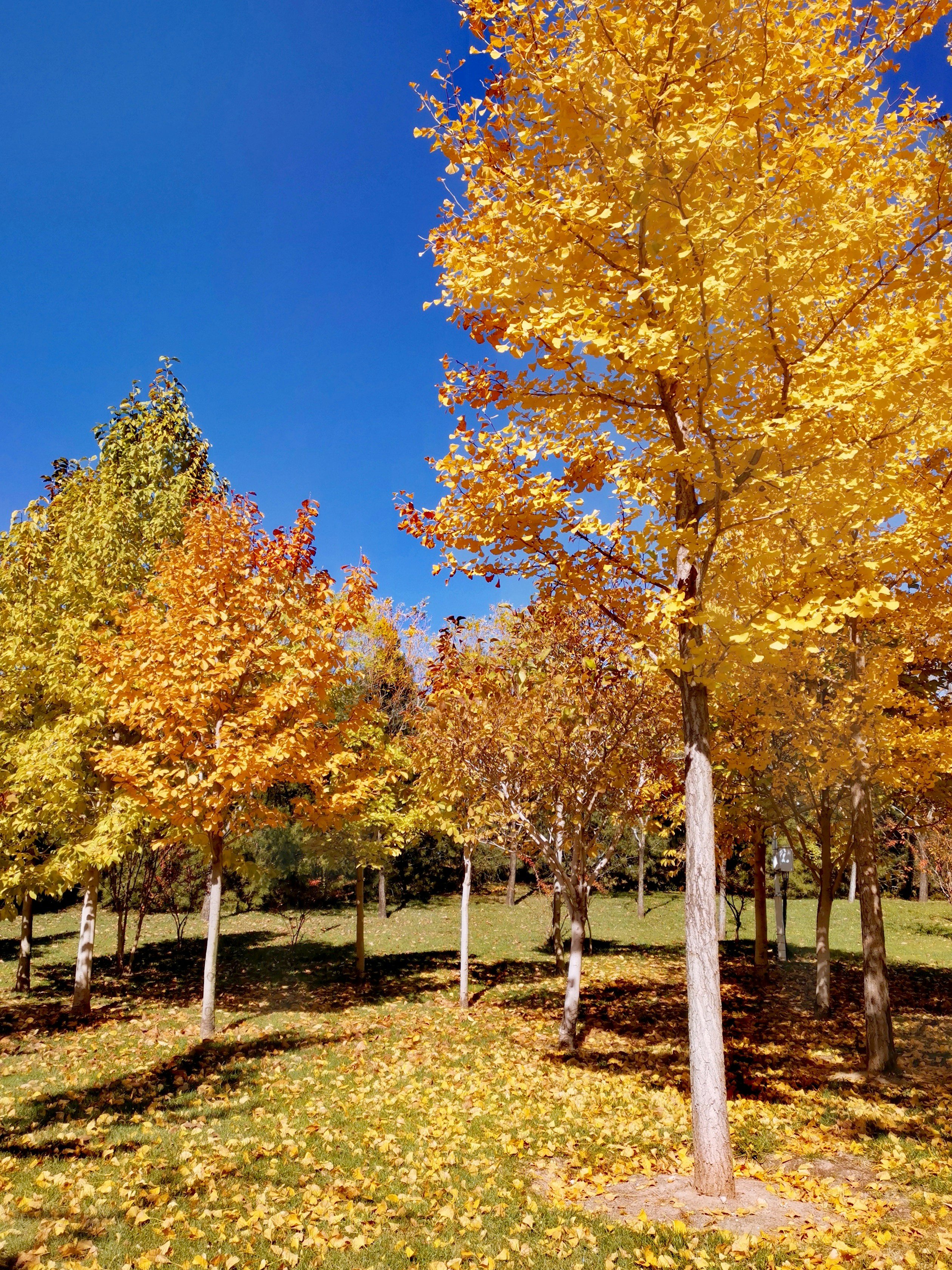 Photo by thmandy_6752