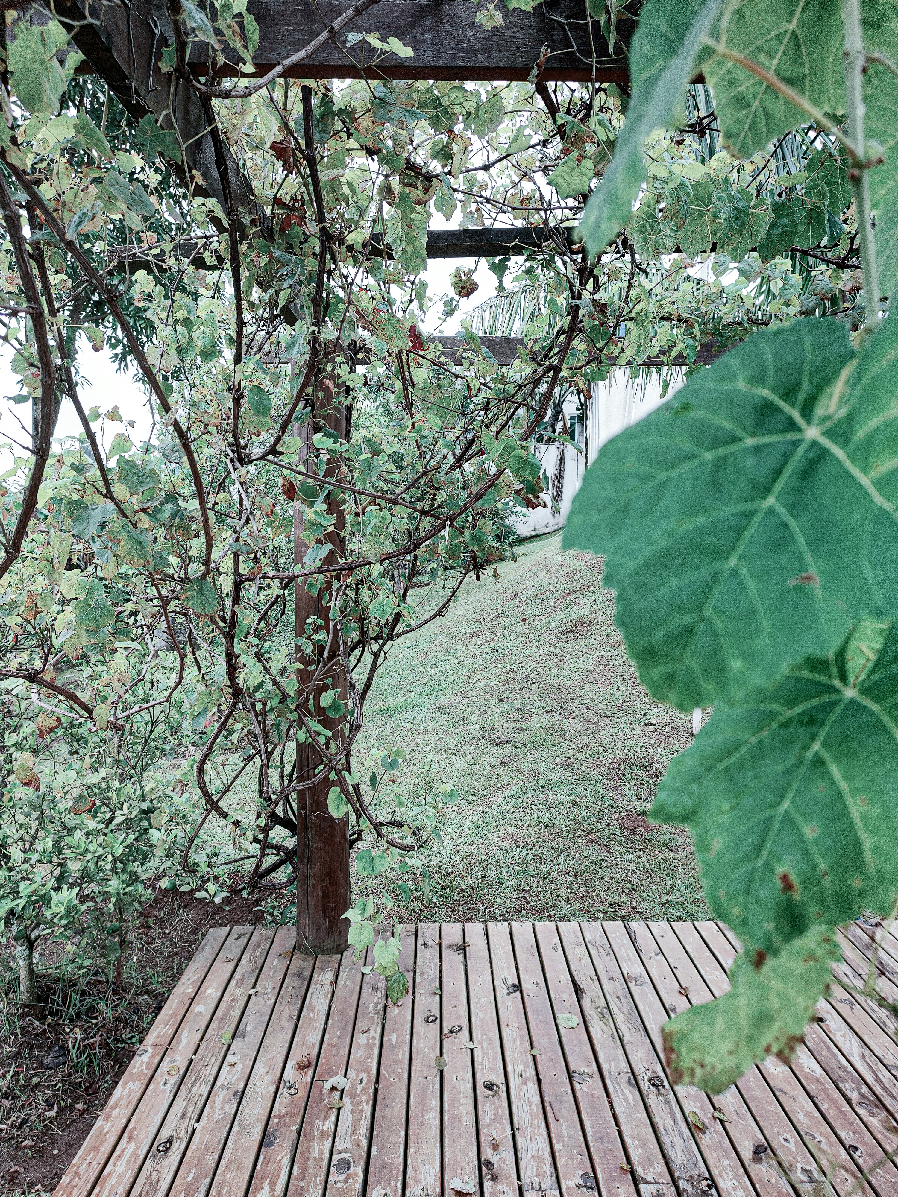 Maximizing Your Outdoor Space