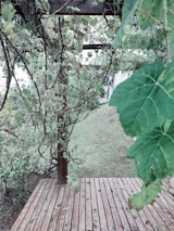 Freshly installed deck with natural wood tones surrounded by colorful plants and flowers.