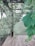 A wooden deck is surrounded by lush green foliage and vines climbing up a wooden pergola. The scene extends towards a grassy area in the background, creating a natural, serene environment.