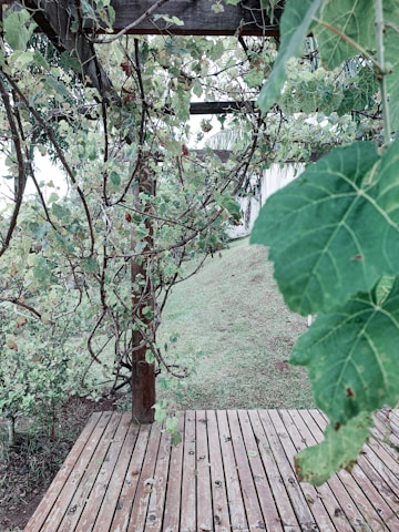 A beautifully crafted wooden deck overlooking a lush backyard garden.