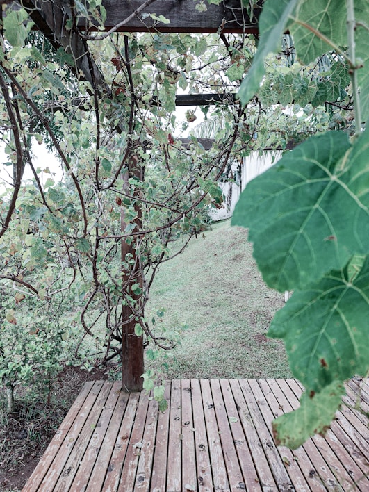 A custom-built deck with natural wood tones overlooking a green backyard