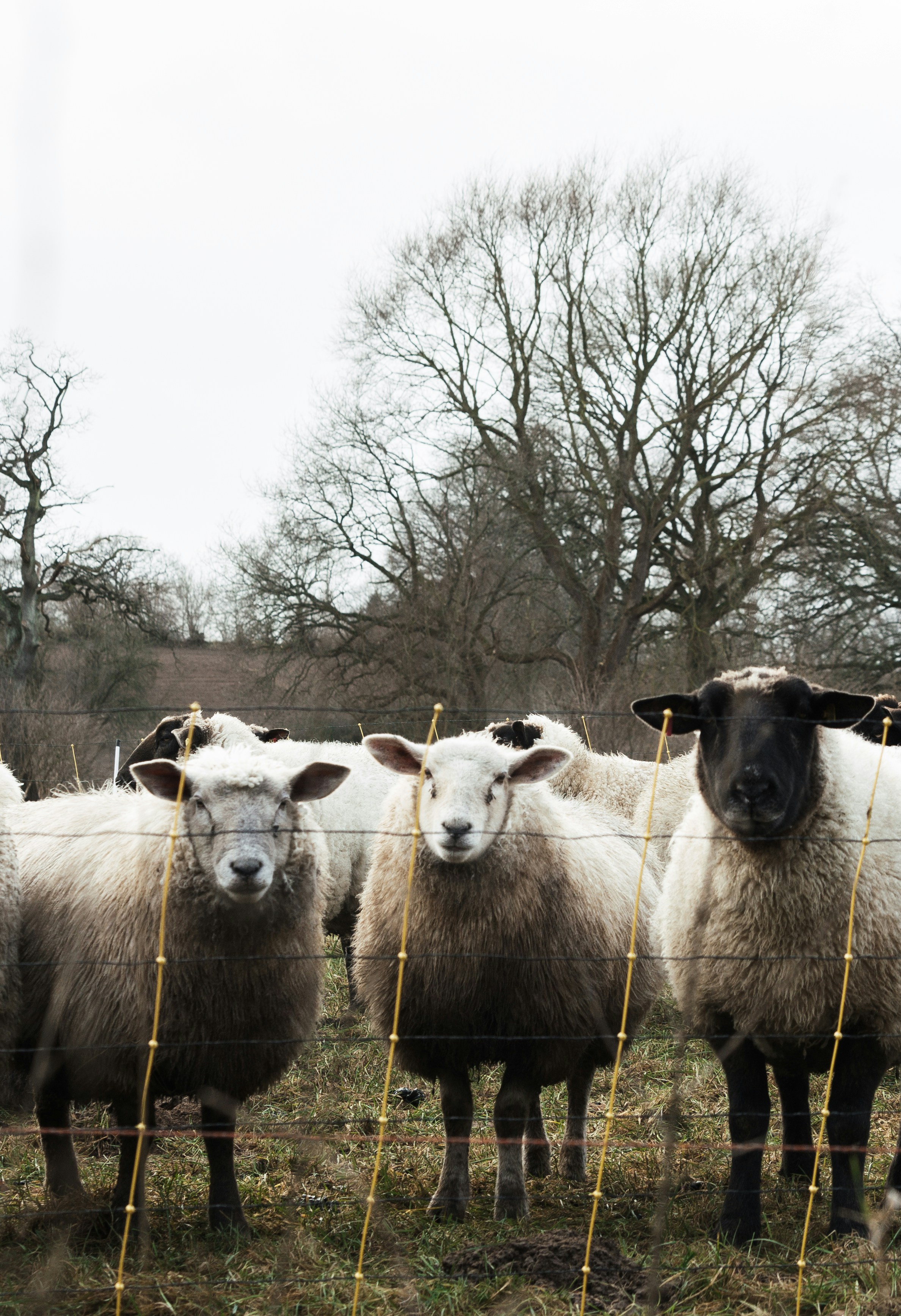 Photo by katharina_bill