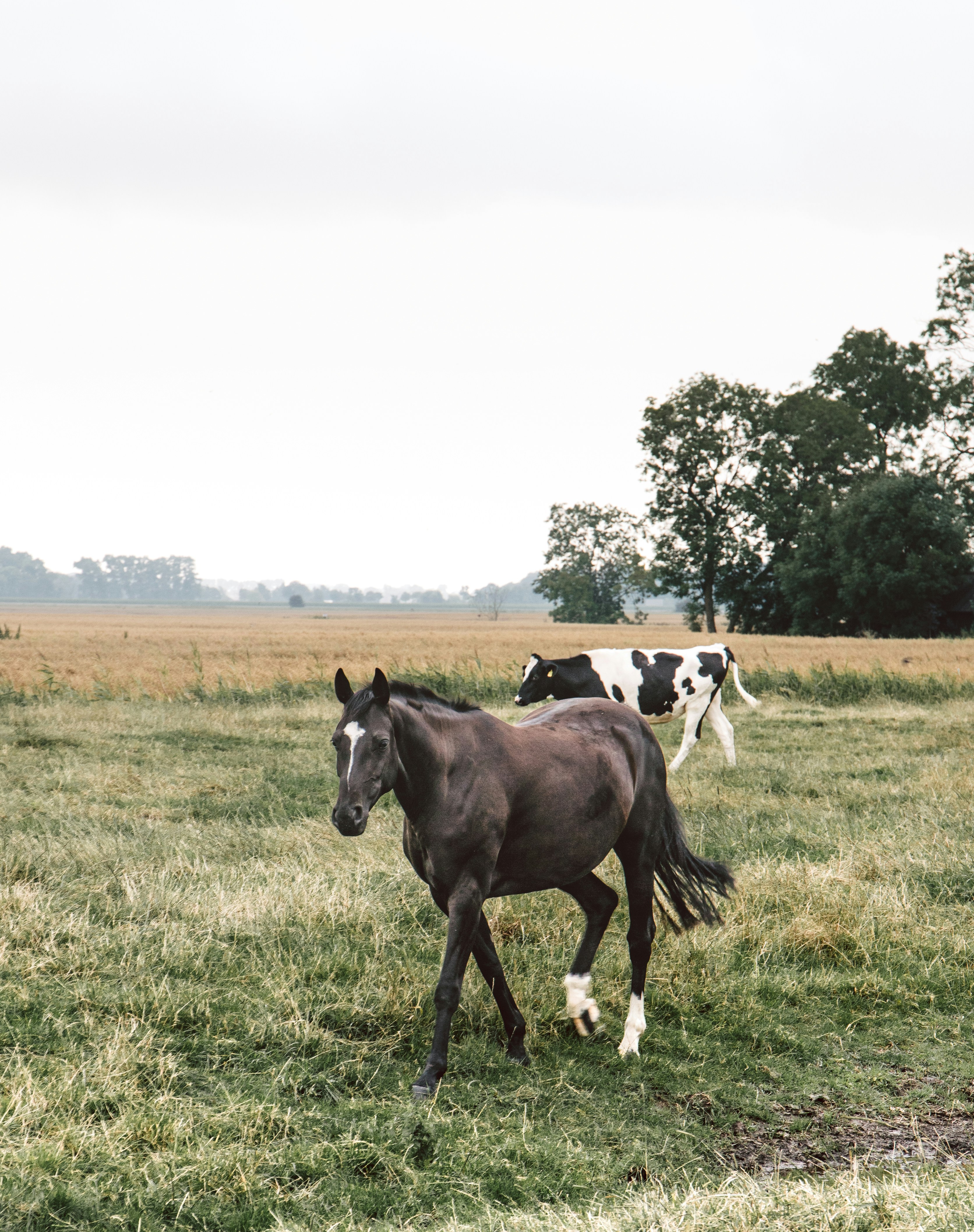 Photo by katharina_bill