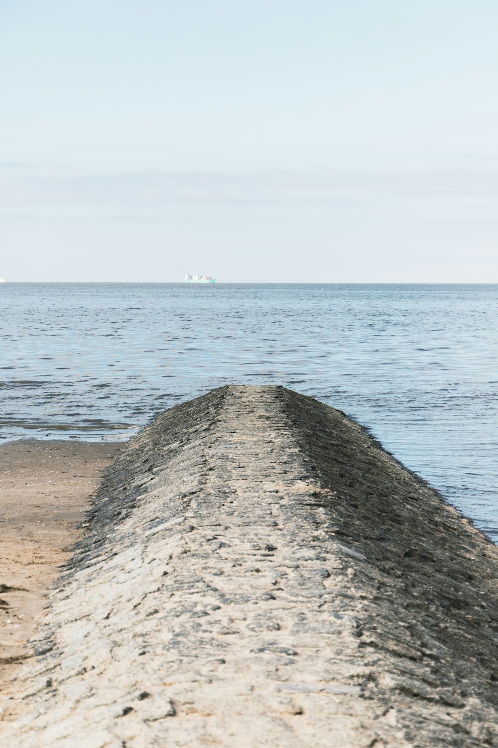 Un oiseau assis au sommet d’une plage de sable au bord de l’océan