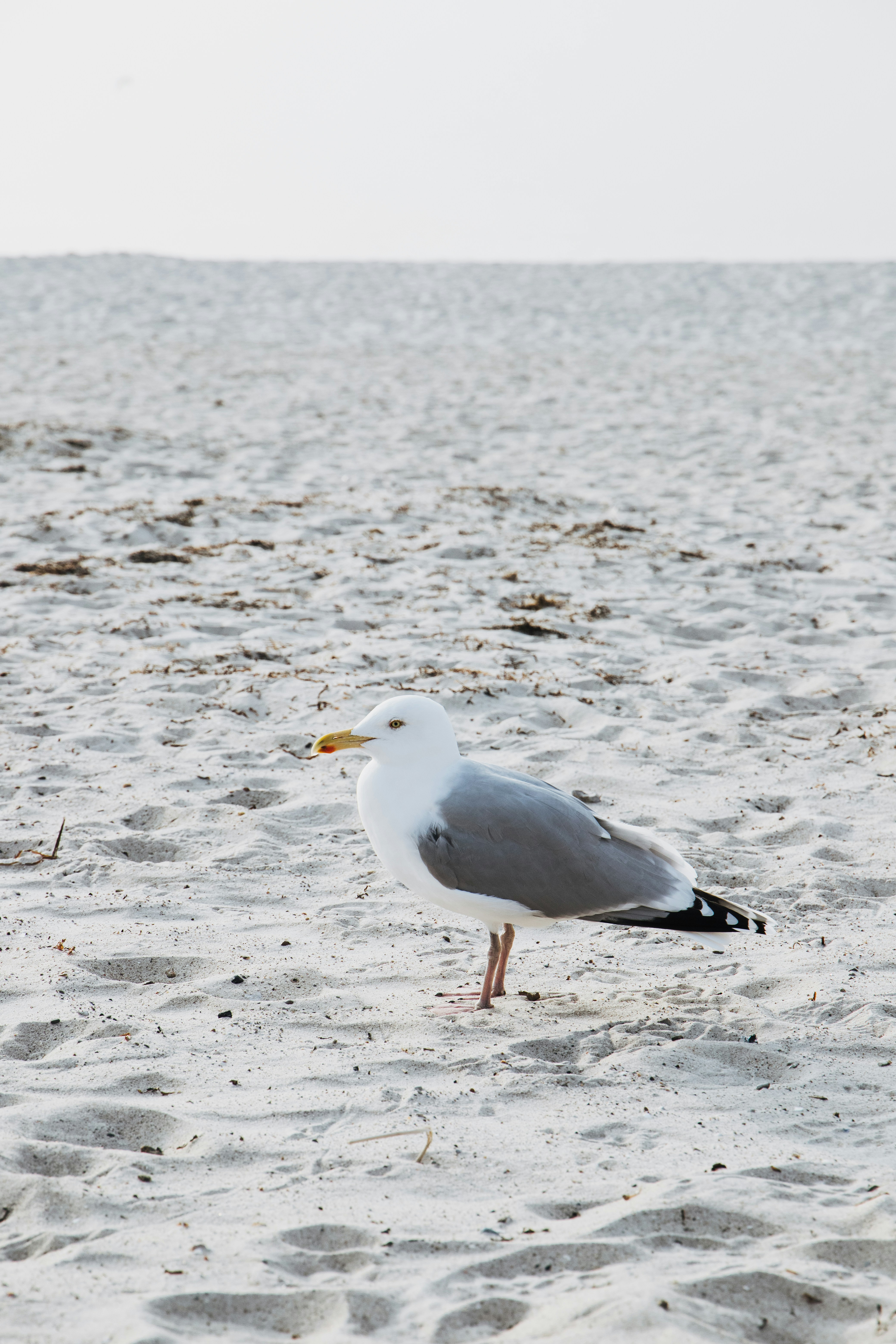 Photo by katharina_bill