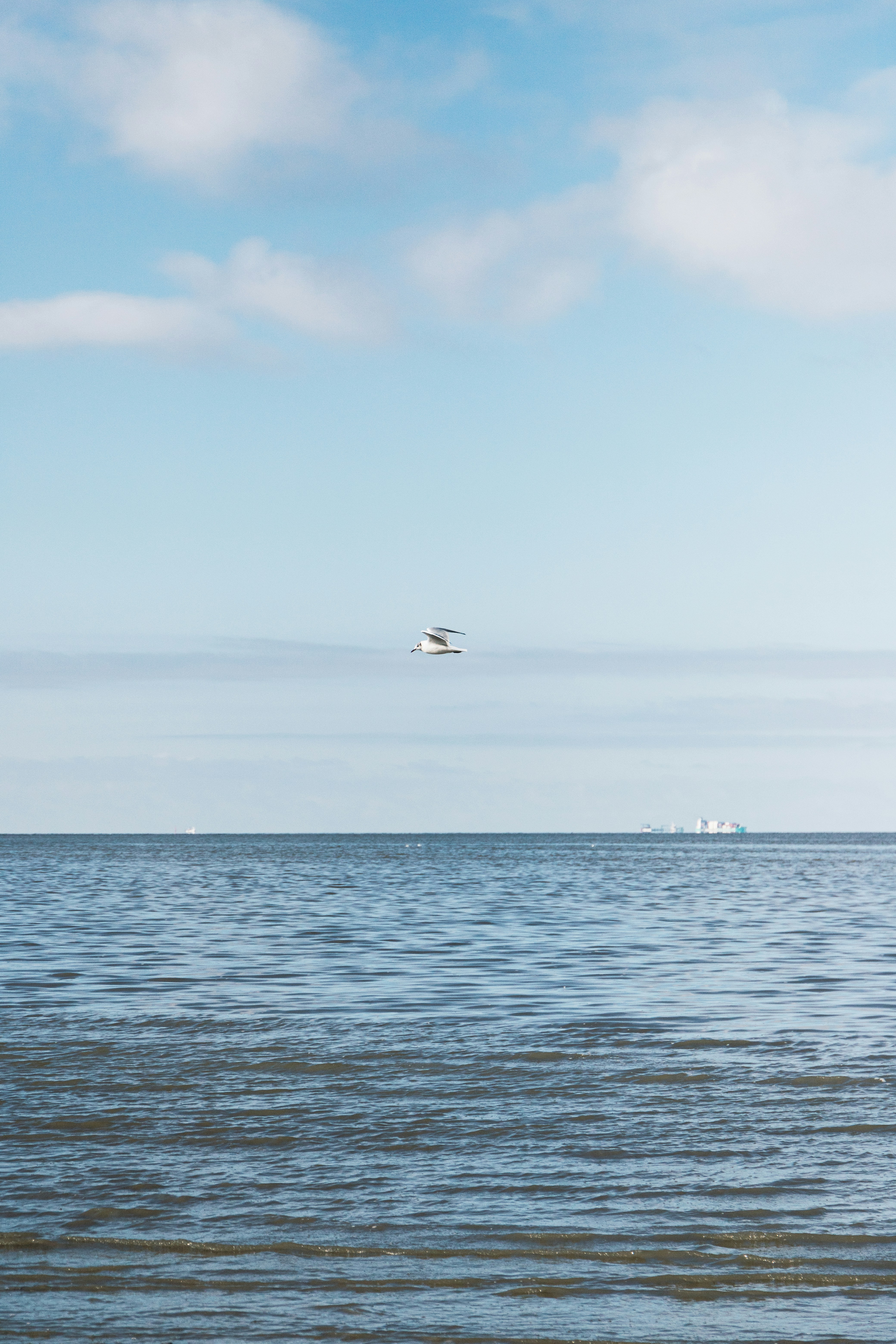 Photo by katharina_bill