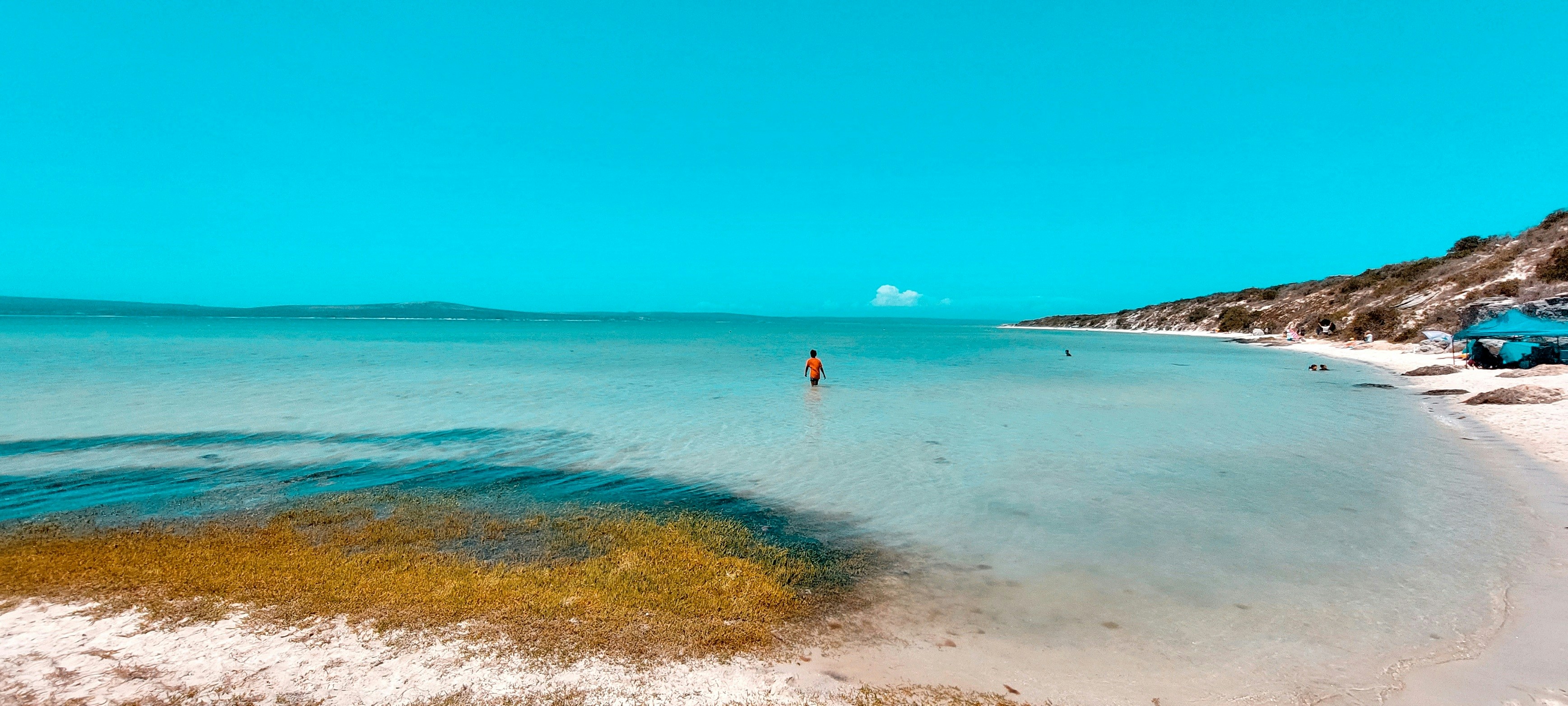 Photo by summer2023amy