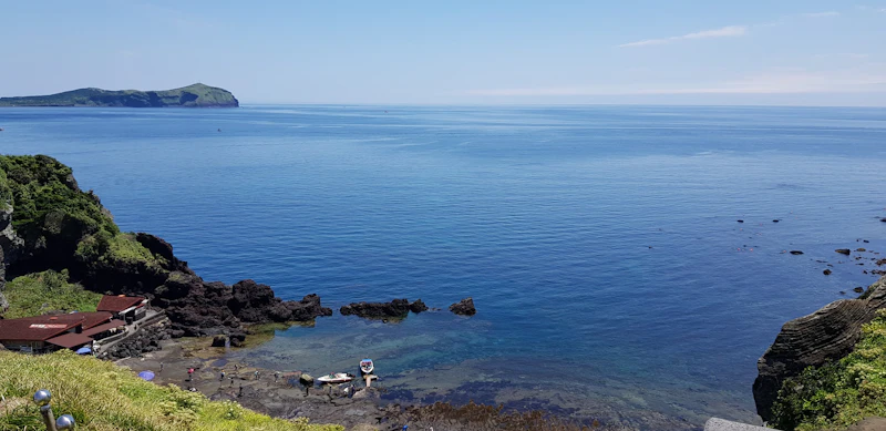 Best Live Music Bars in Jeju Island for a Proper Night Out
