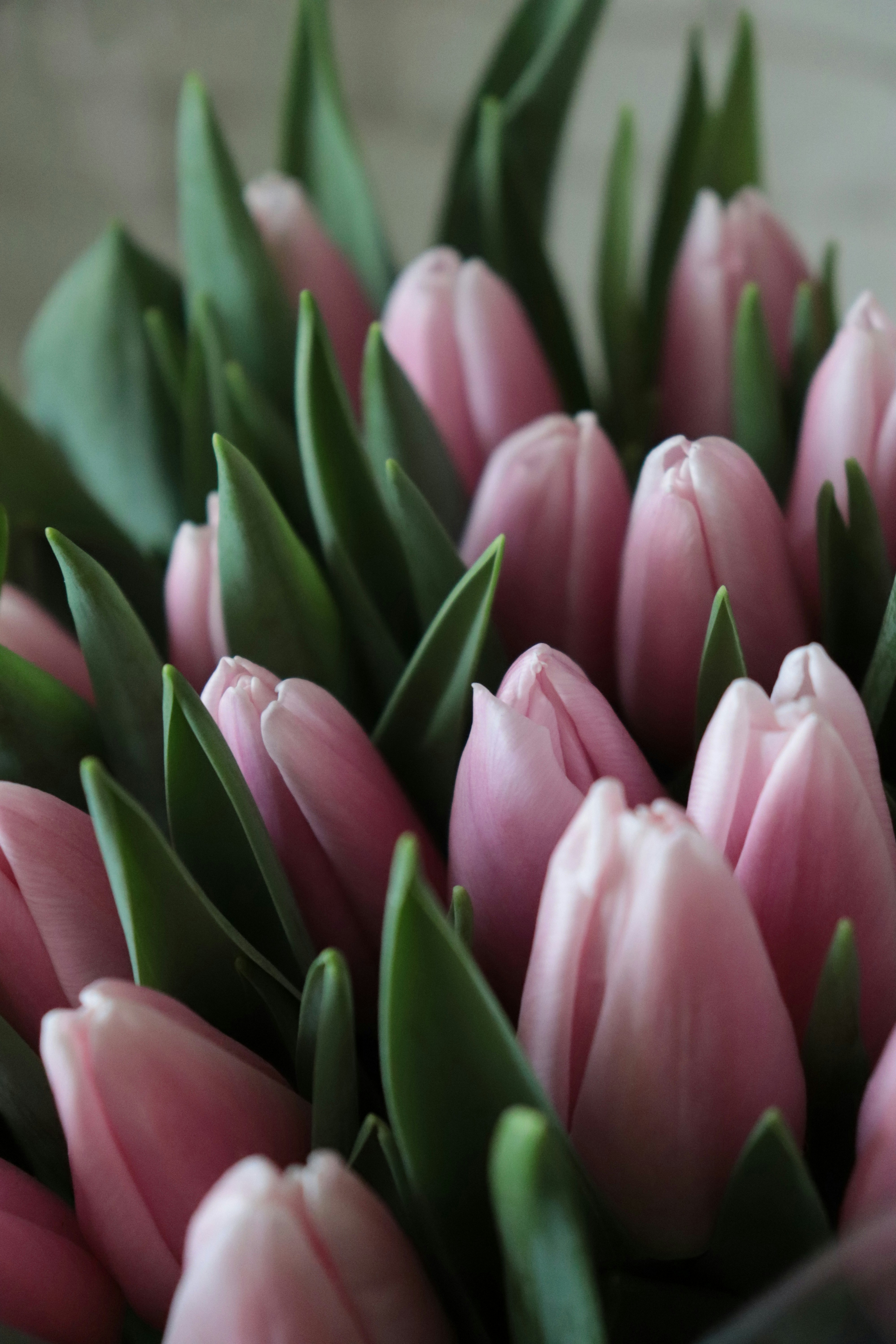 Photo by annalacroix