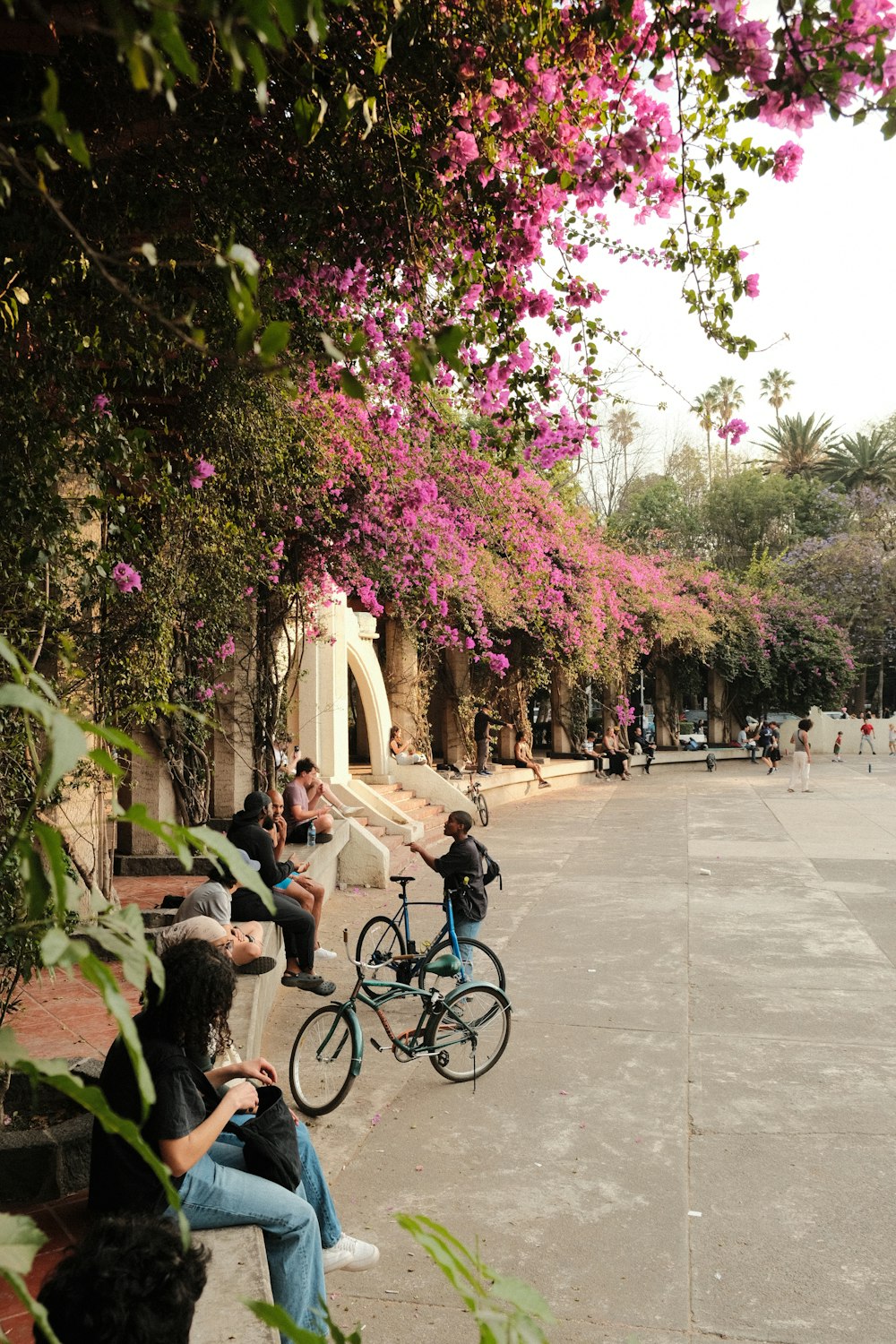 a group of people riding bikes down a street