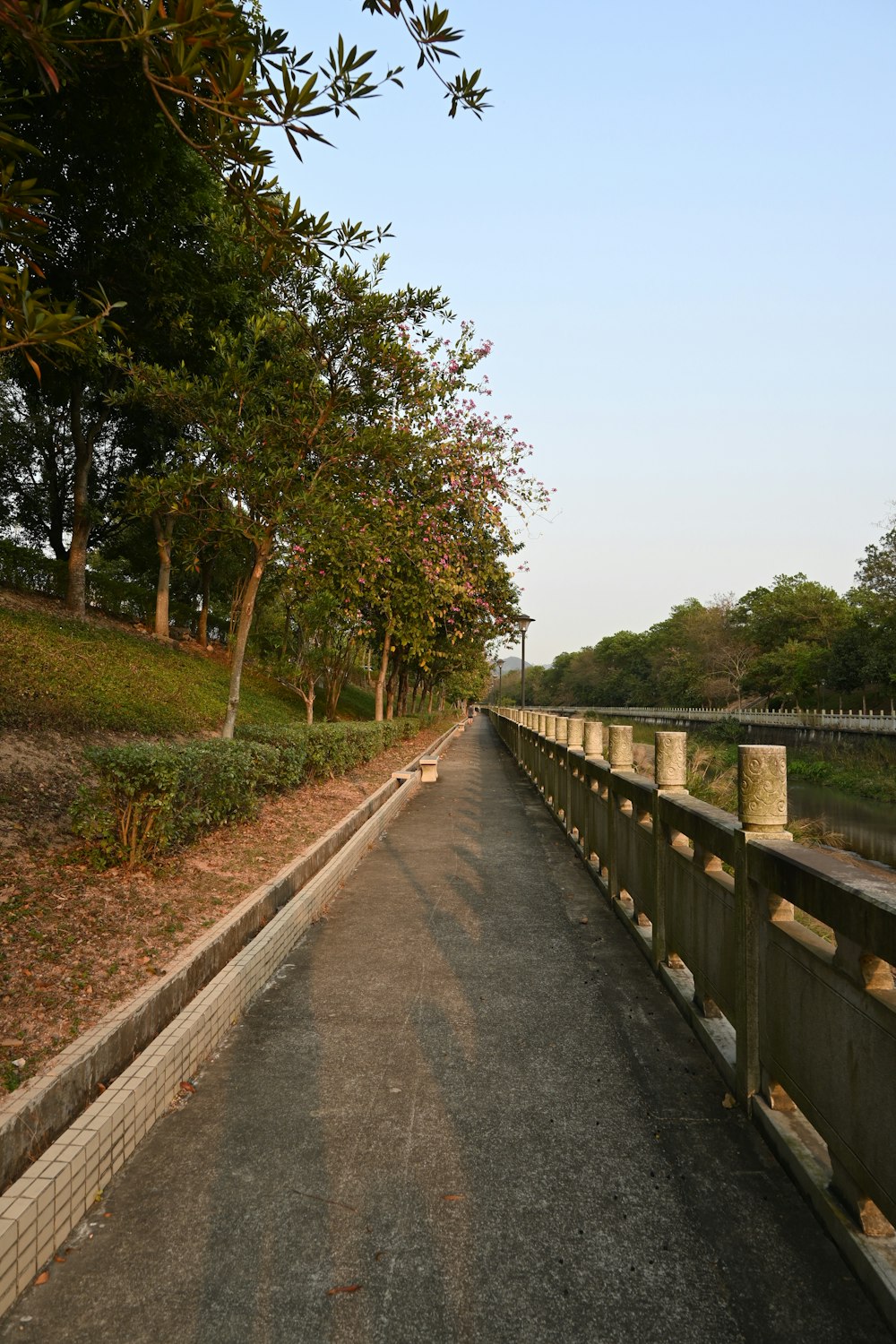 a paved road with trees on both sides