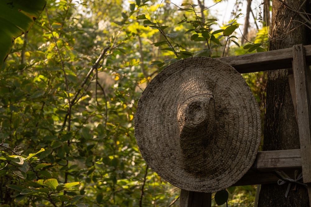 a straw hat hanging from a wooden ladder