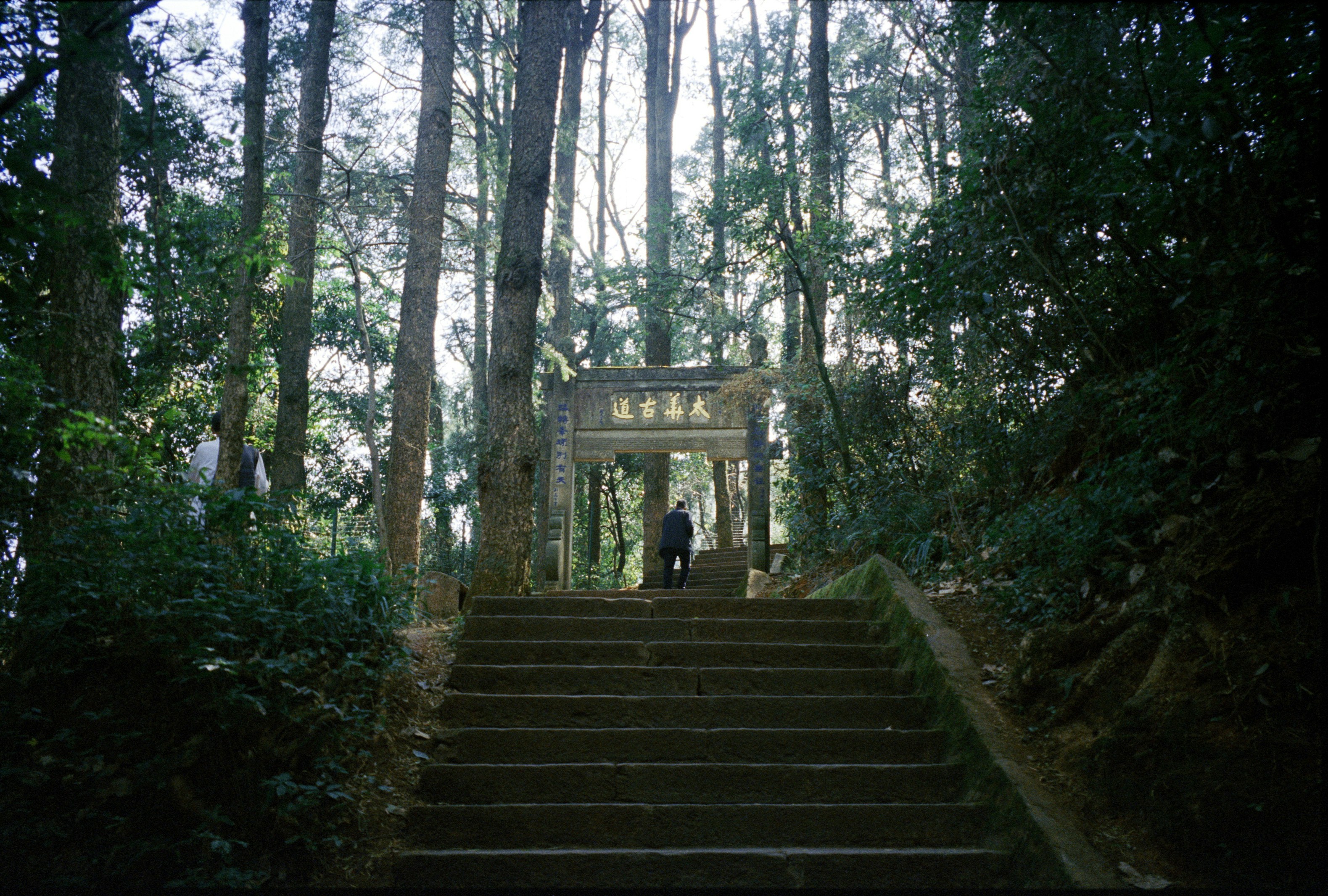 Photo by greedwolf97