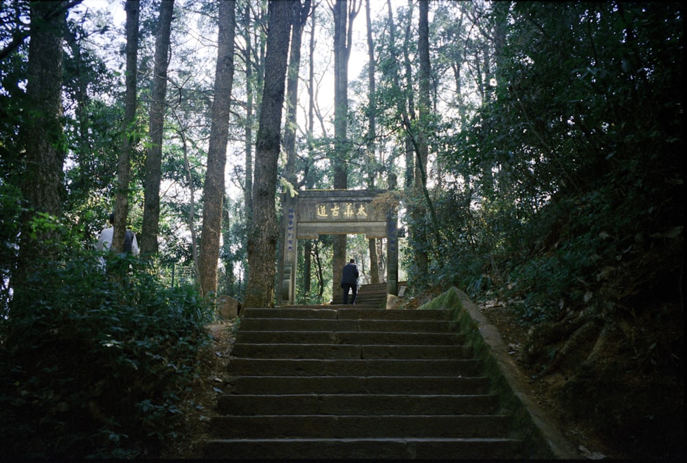 a set of stairs leading up to a gazebo in the woods