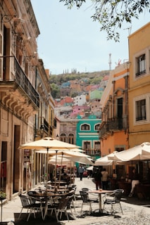 Transforma tu Cafetería en Guanajuato en un Rincón Único
