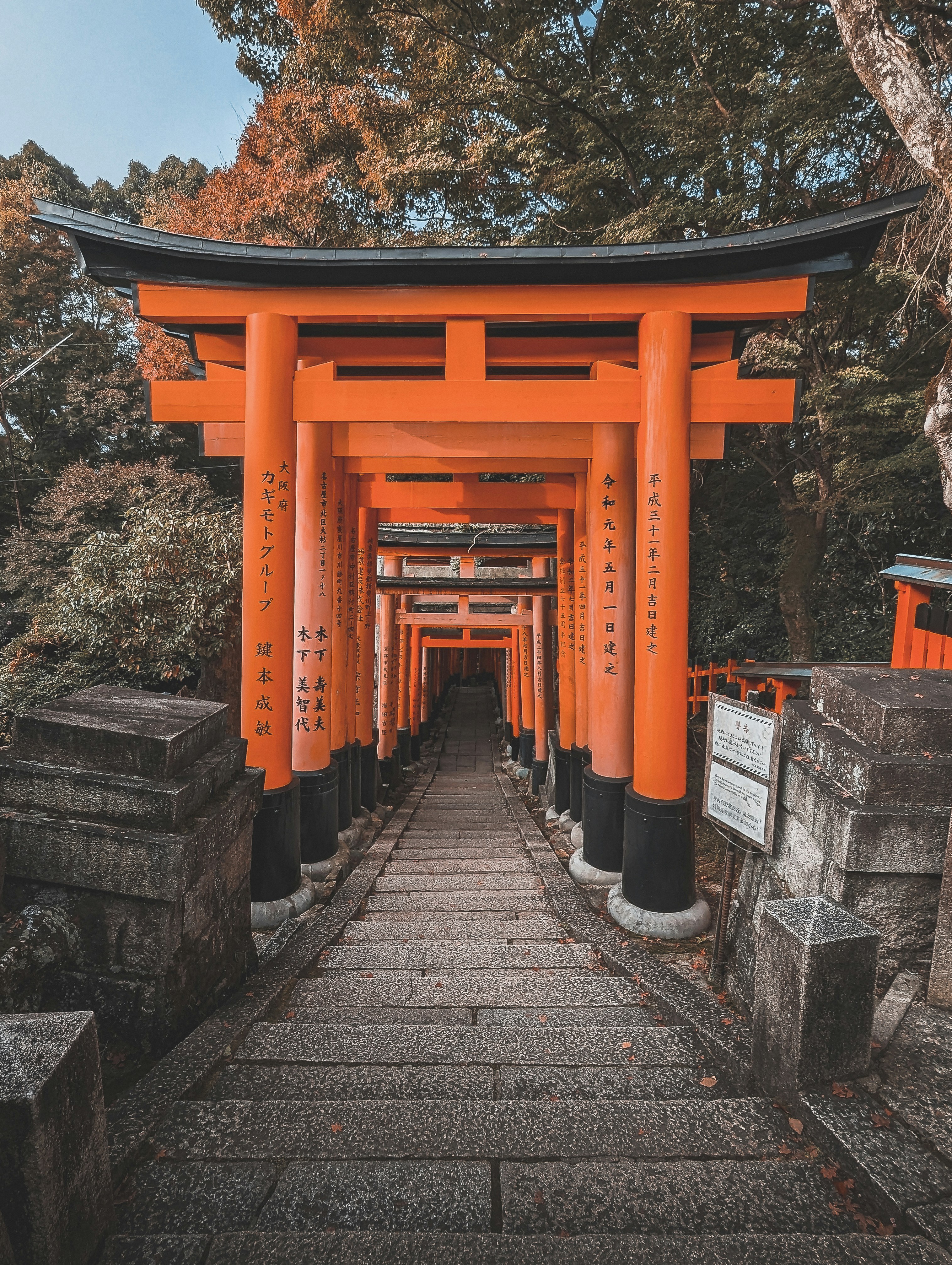 Photo by willianjusten