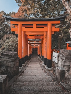 Japan, Fushimi Inari Taisha, Shinto shrine tori gates