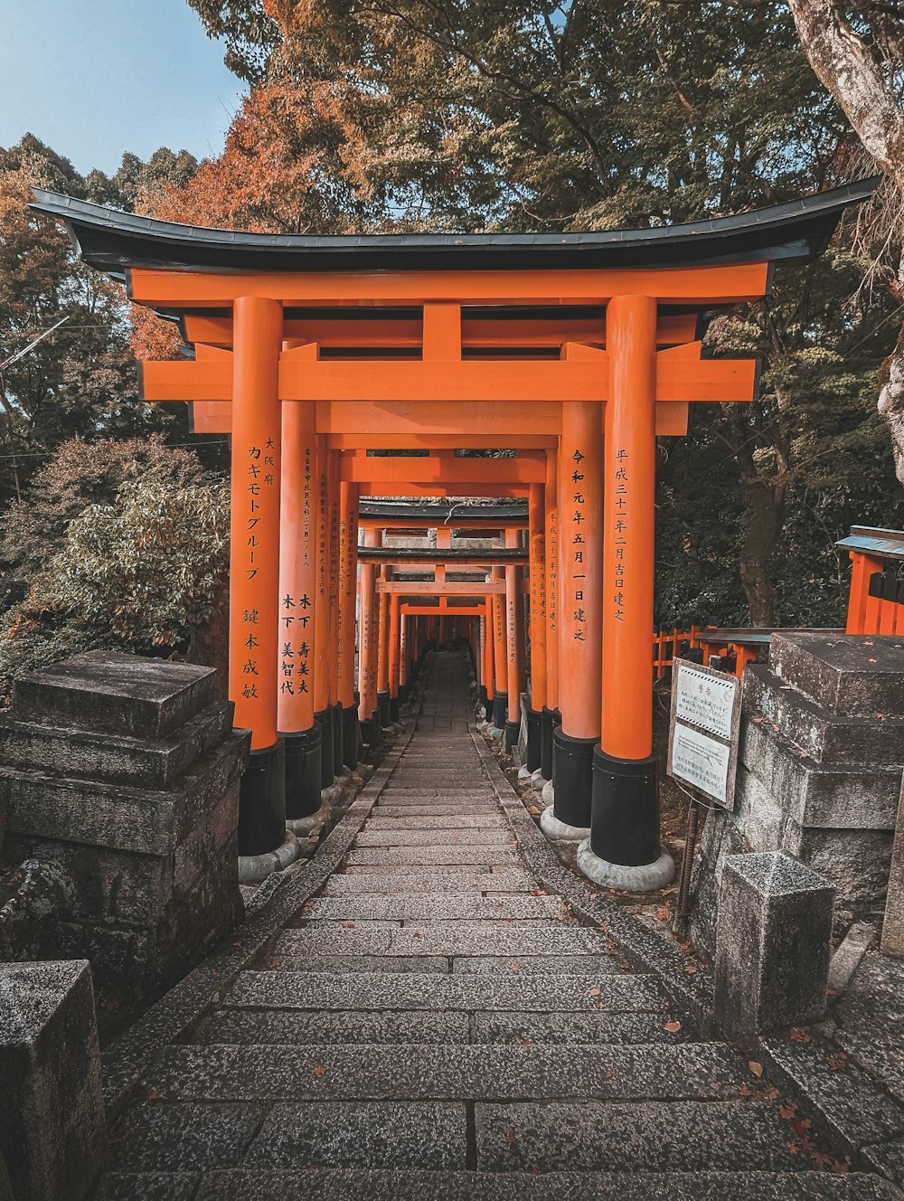 a long line of orange tori tori tori tori tori tori tori tori tori tori tori