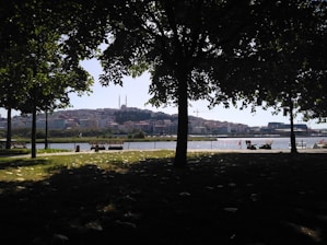 A serene view of Sahra Termal Park showcasing its natural surroundings.