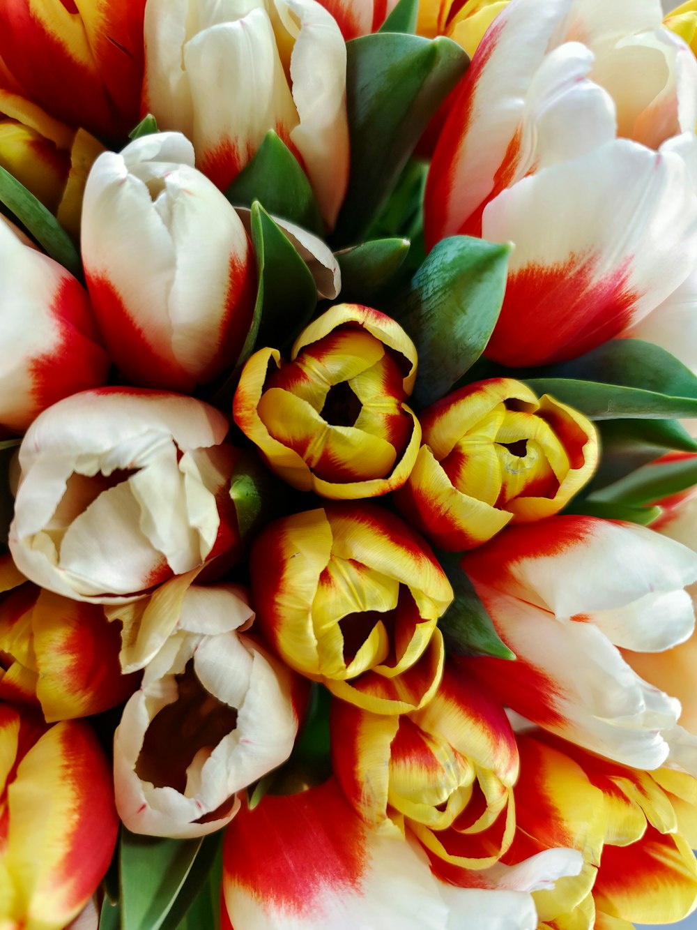 a bouquet of red and yellow tulips with green leaves