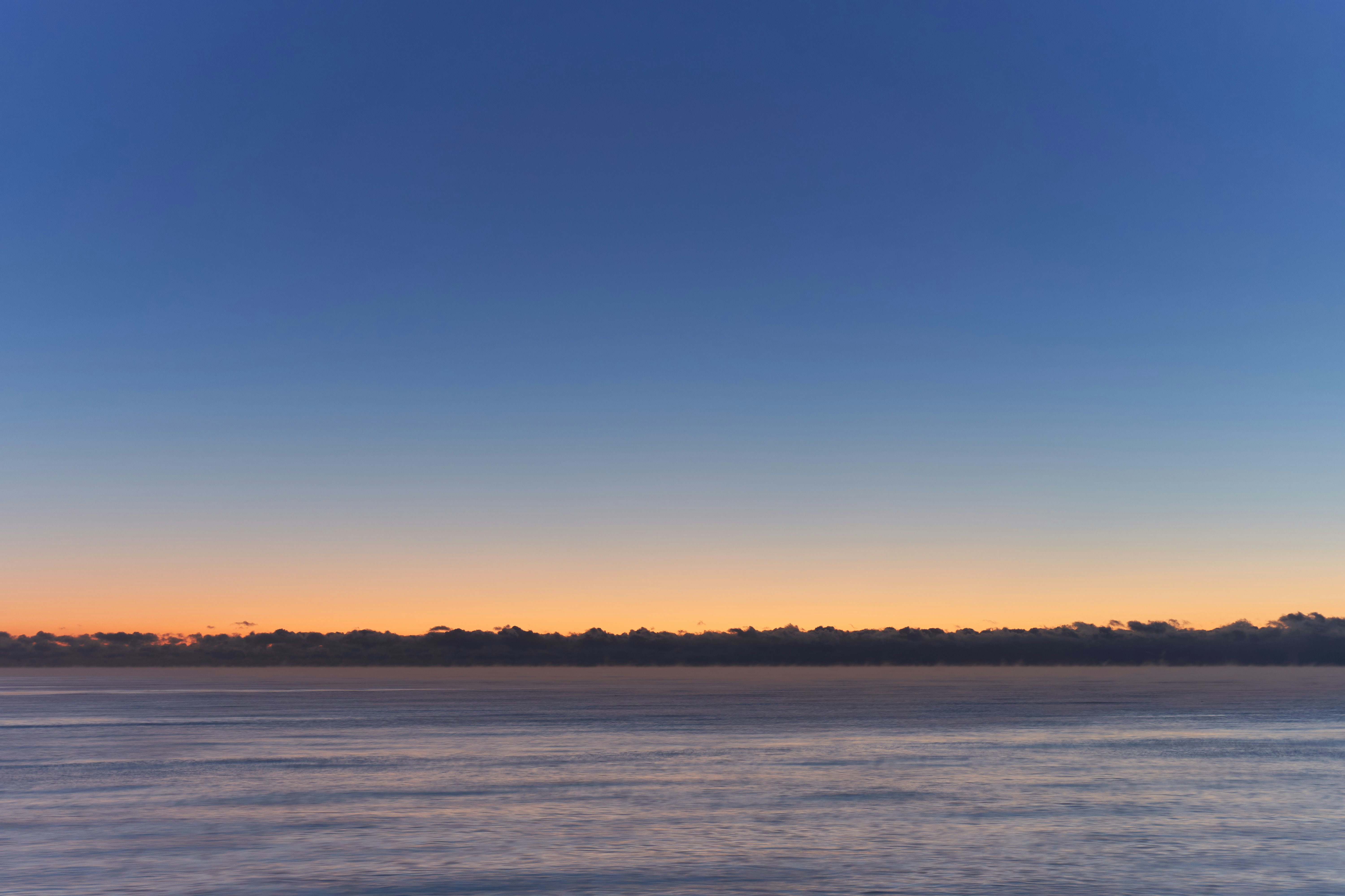 Photo by wolfgang_hasselmann