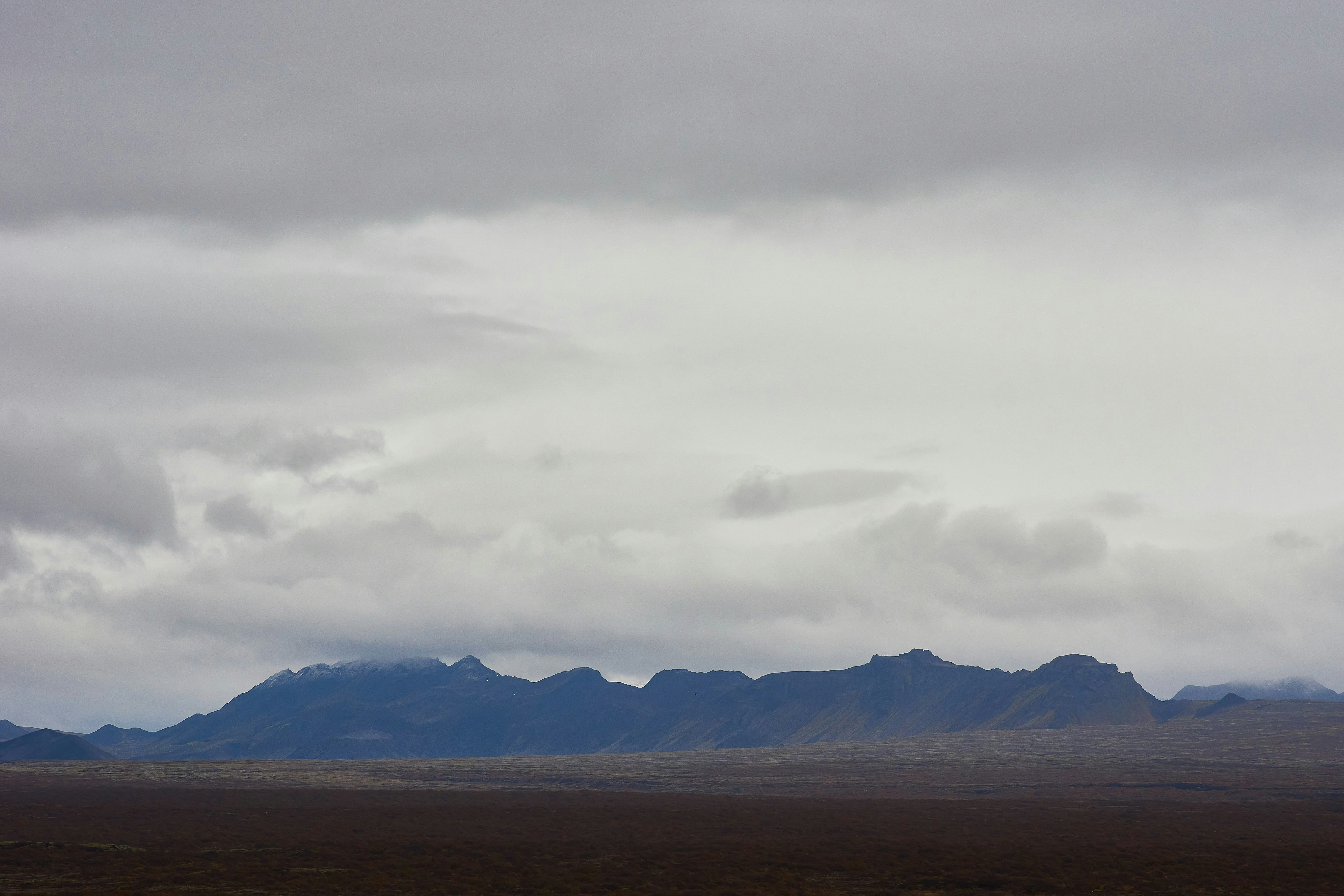 Photo by wolfgang_hasselmann