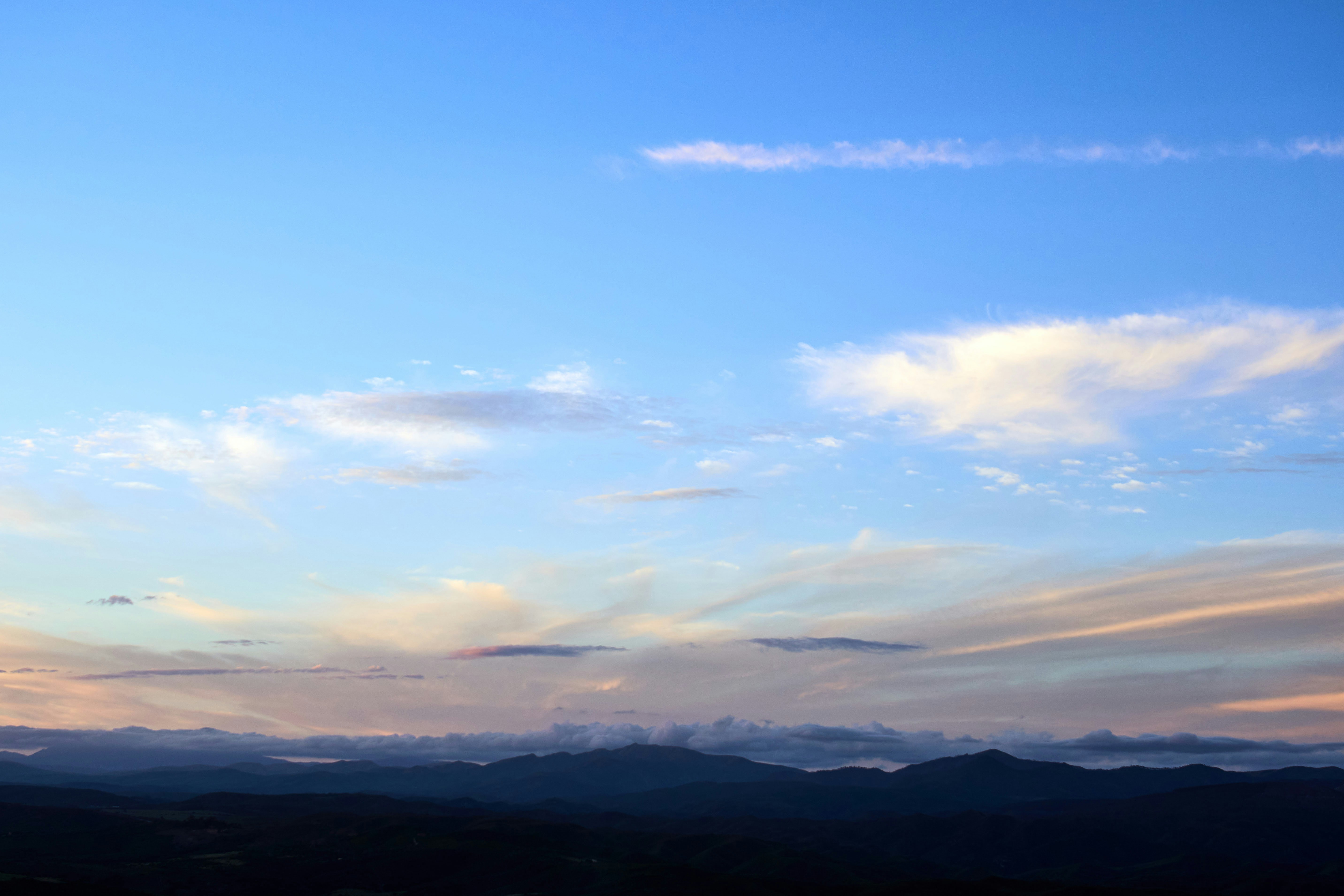 Photo by wolfgang_hasselmann