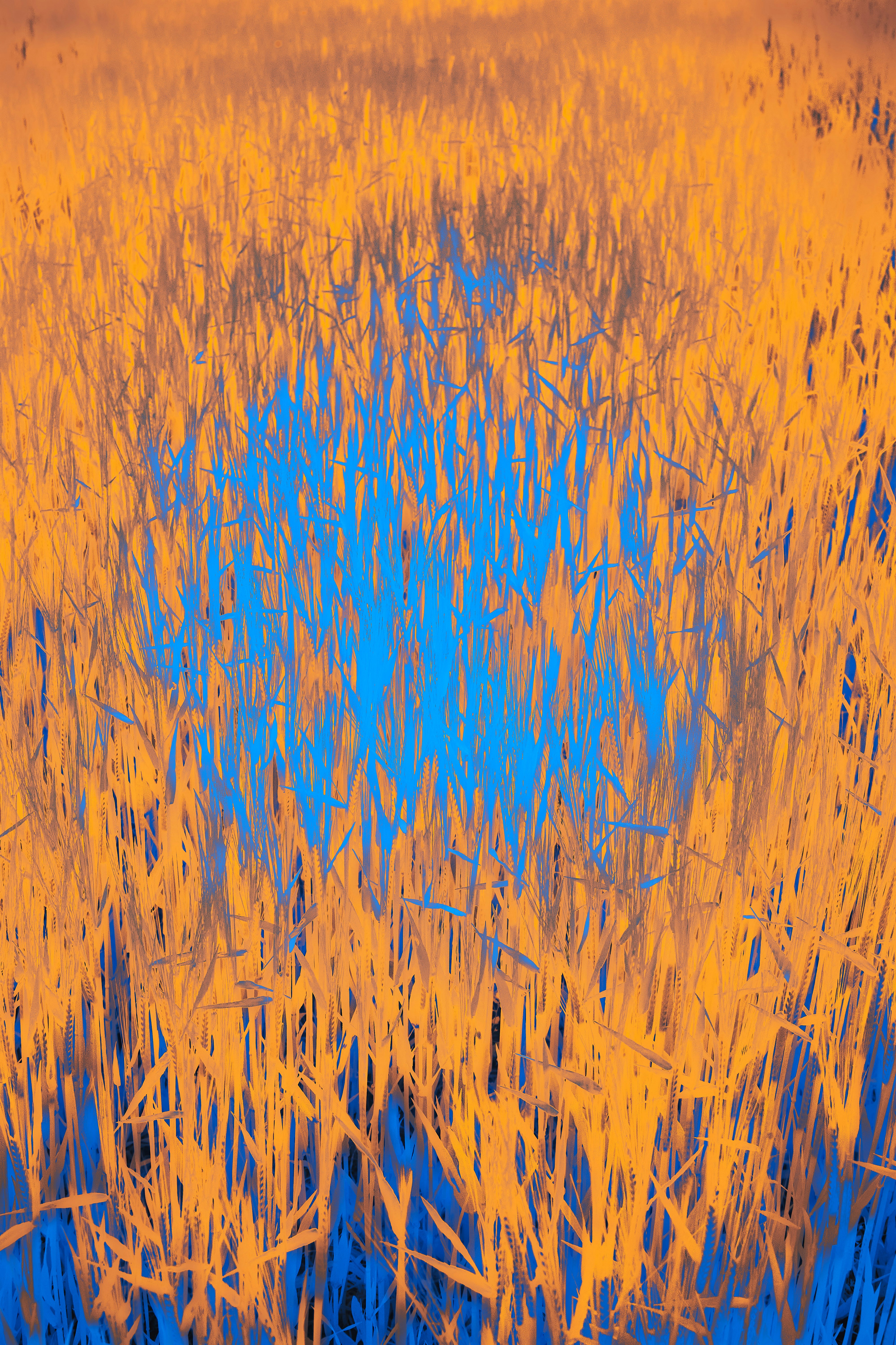 Photo by wolfgang_hasselmann