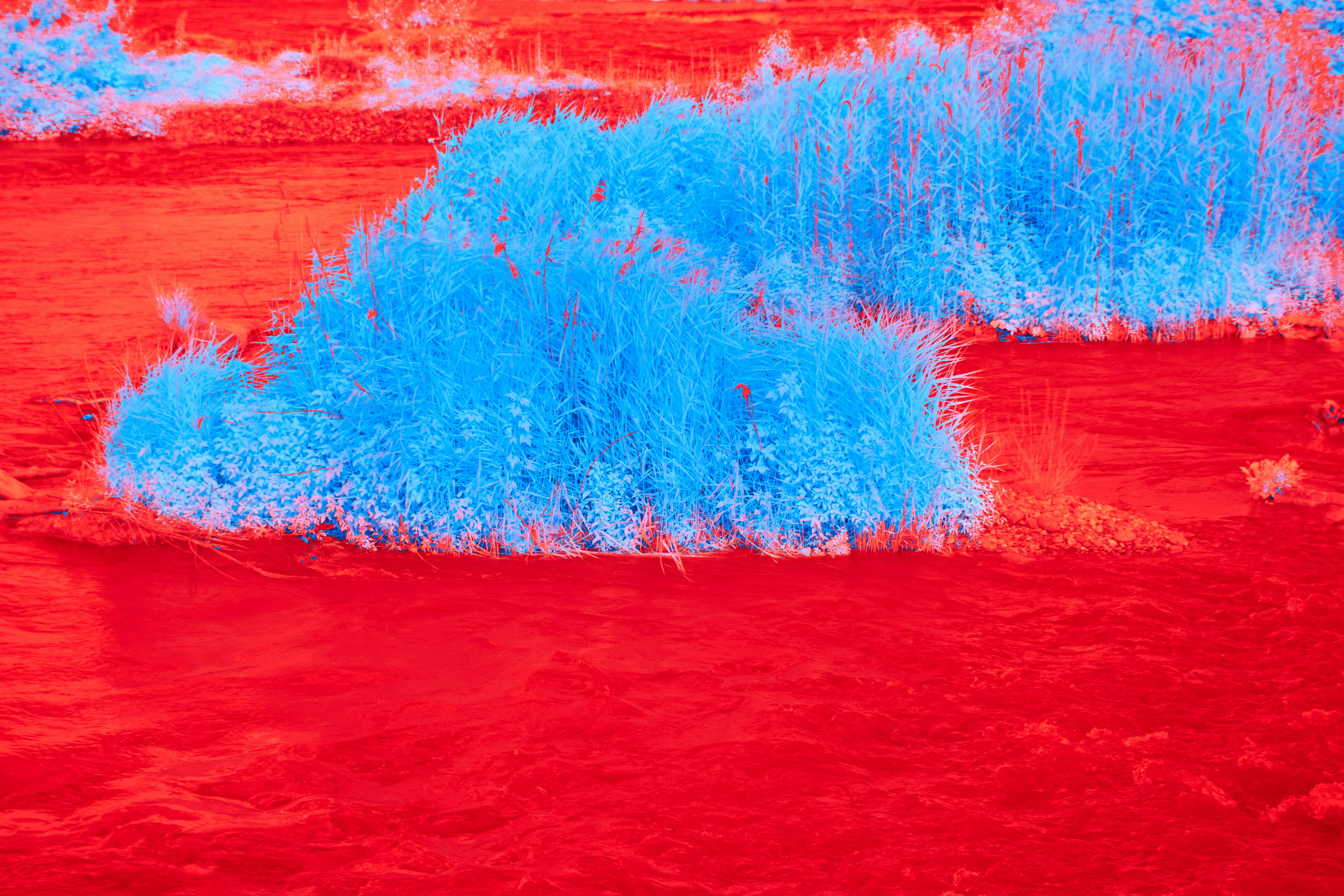 Photo by wolfgang_hasselmann