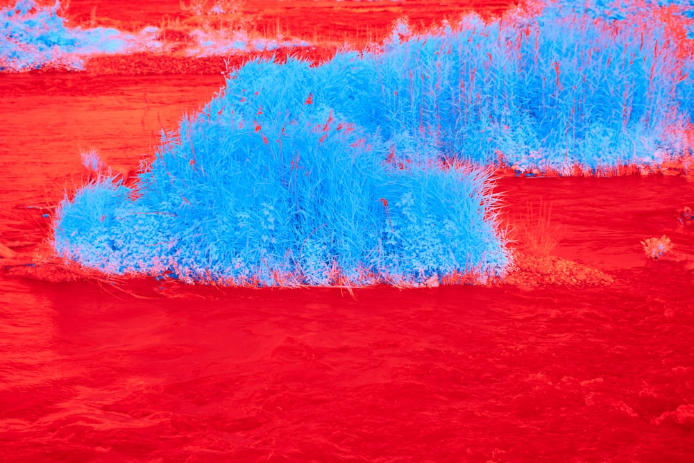 a red and blue painting of grass and water