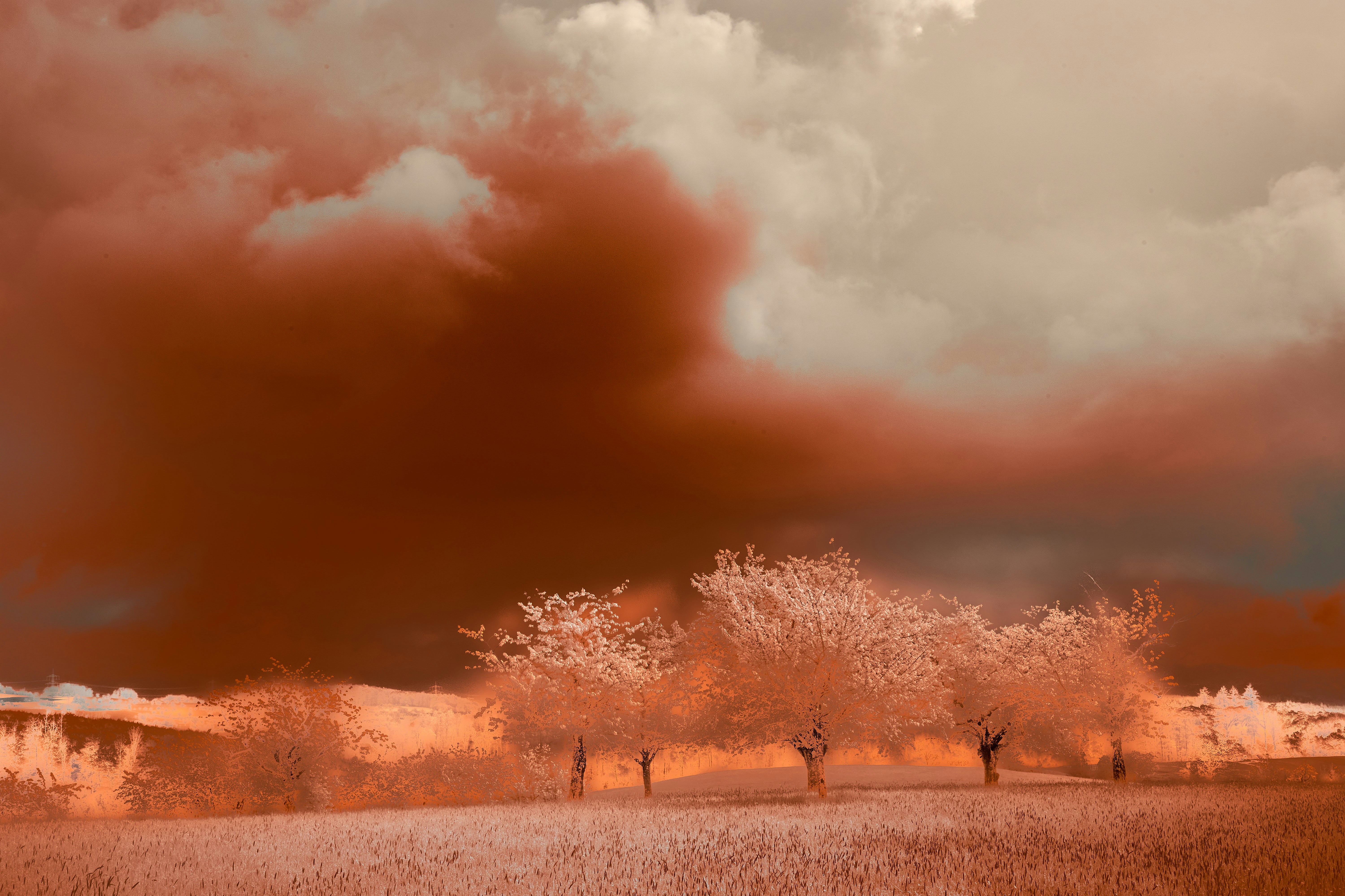 Photo by wolfgang_hasselmann