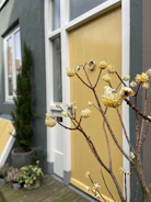 Close-up of a stylish exterior door framed by fresh siding and a subtle gold accent handle.
