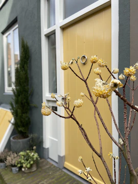 Close-up of a stylish exterior door framed by fresh siding and a subtle gold accent handle.