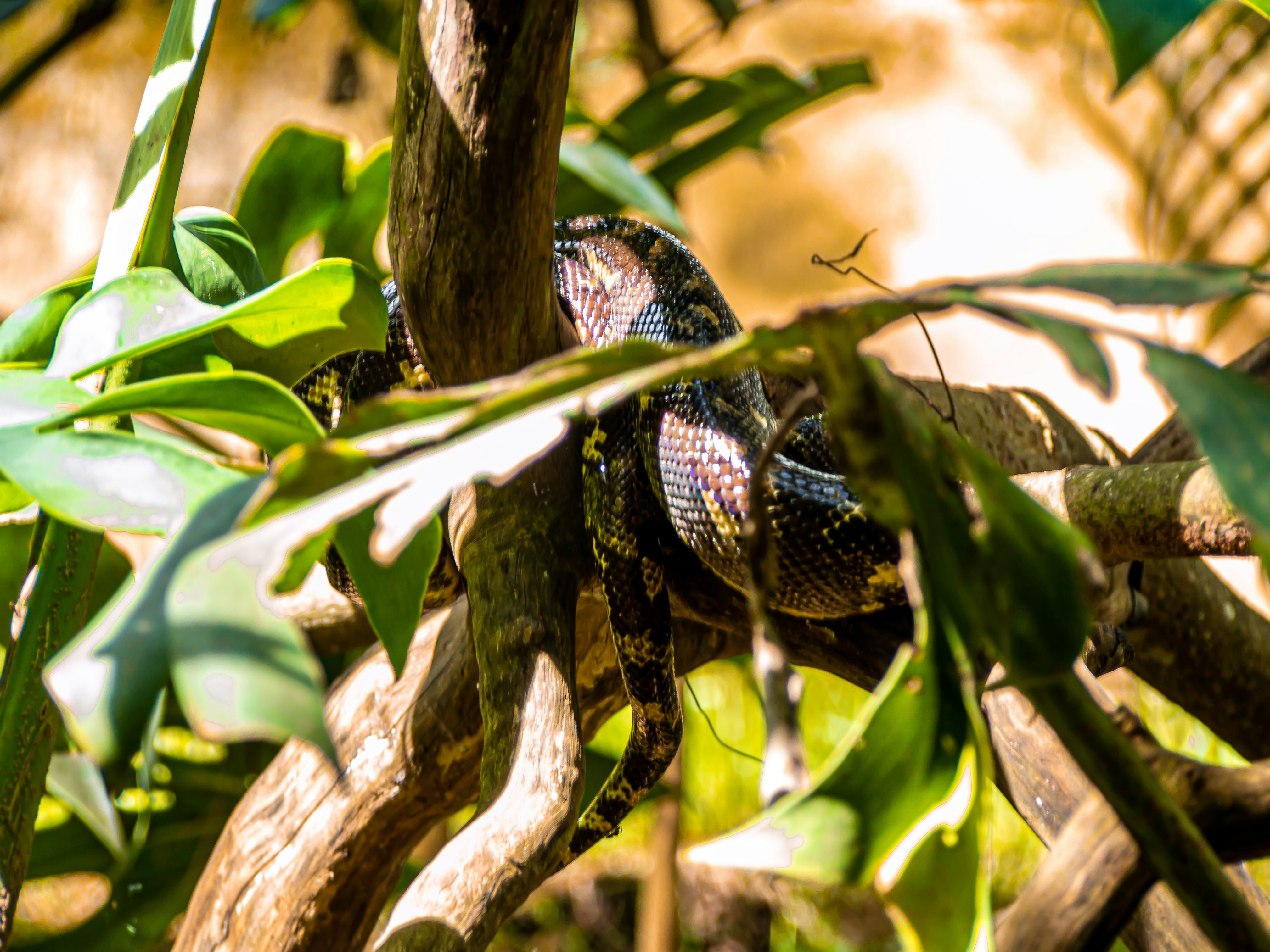 Photo by alekseyryan